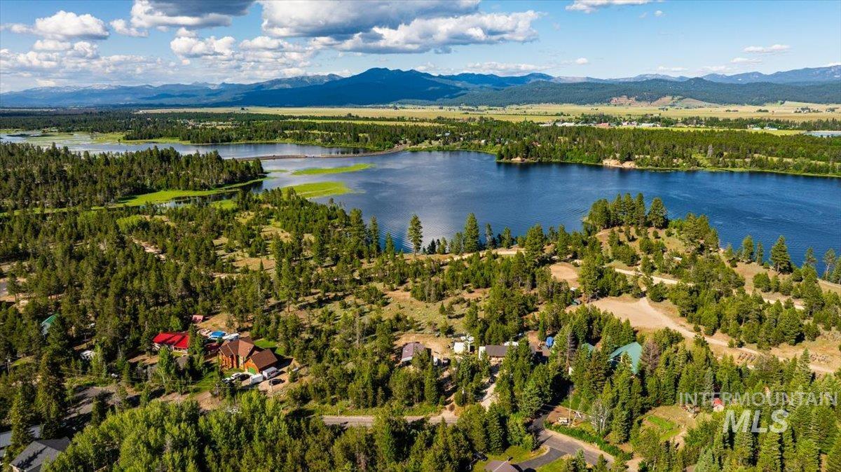 Aerial view of a water and mountain view and a forest