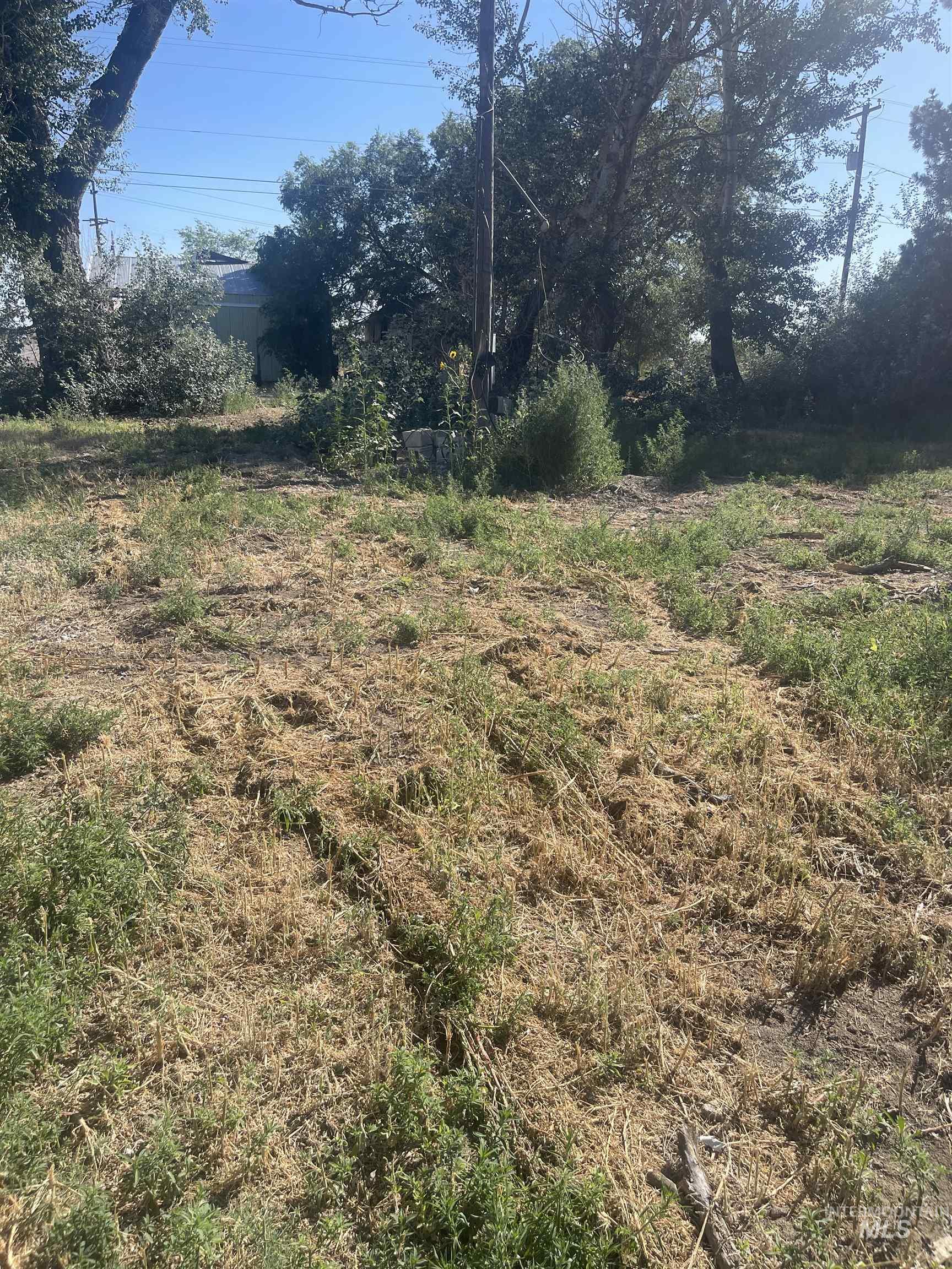 218 East D Street - Lots 1-3, Shoshone, Idaho 83352, Land For Sale, Price $82,500,MLS 98954089