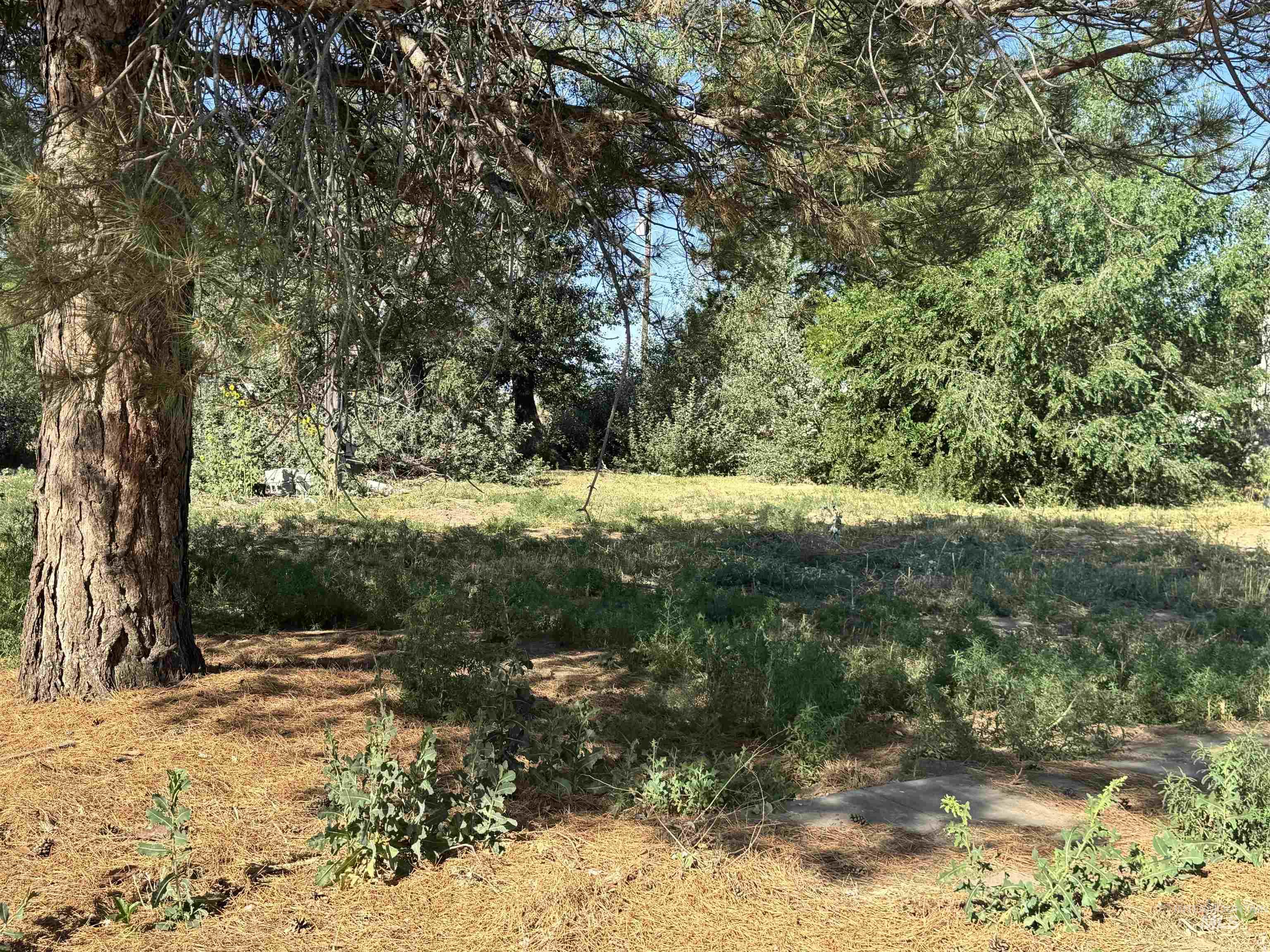 218 East D Street - Lots 1-3, Shoshone, Idaho 83352, Land For Sale, Price $82,500,MLS 98954089