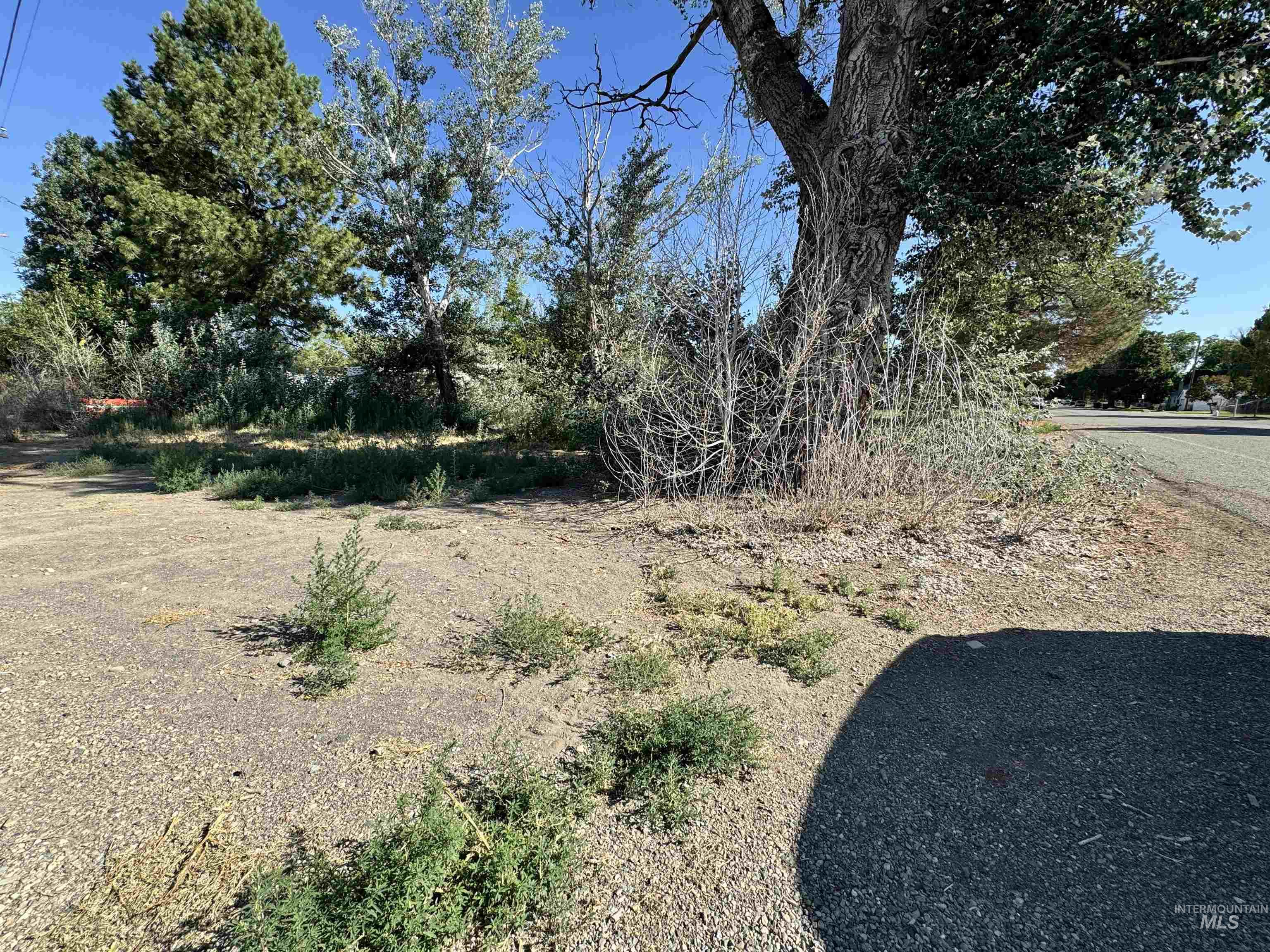 218 East D Street - Lots 1-3, Shoshone, Idaho 83352, Land For Sale, Price $82,500,MLS 98954089