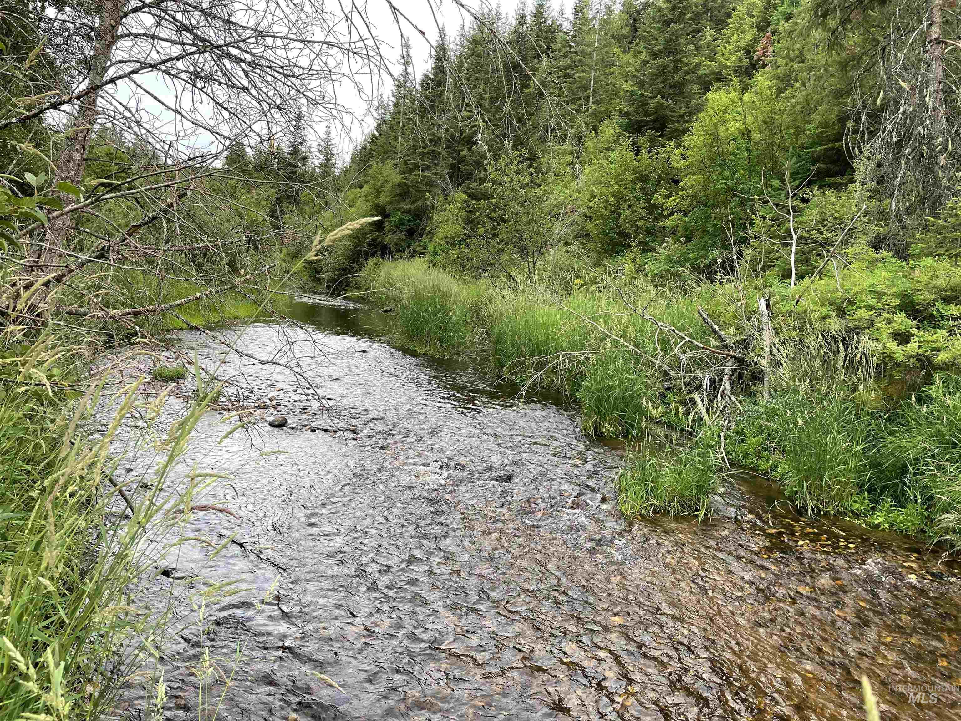 0 Highway 11, Pierce, Idaho 83546, Land For Sale, Price $415,000,MLS 98954091