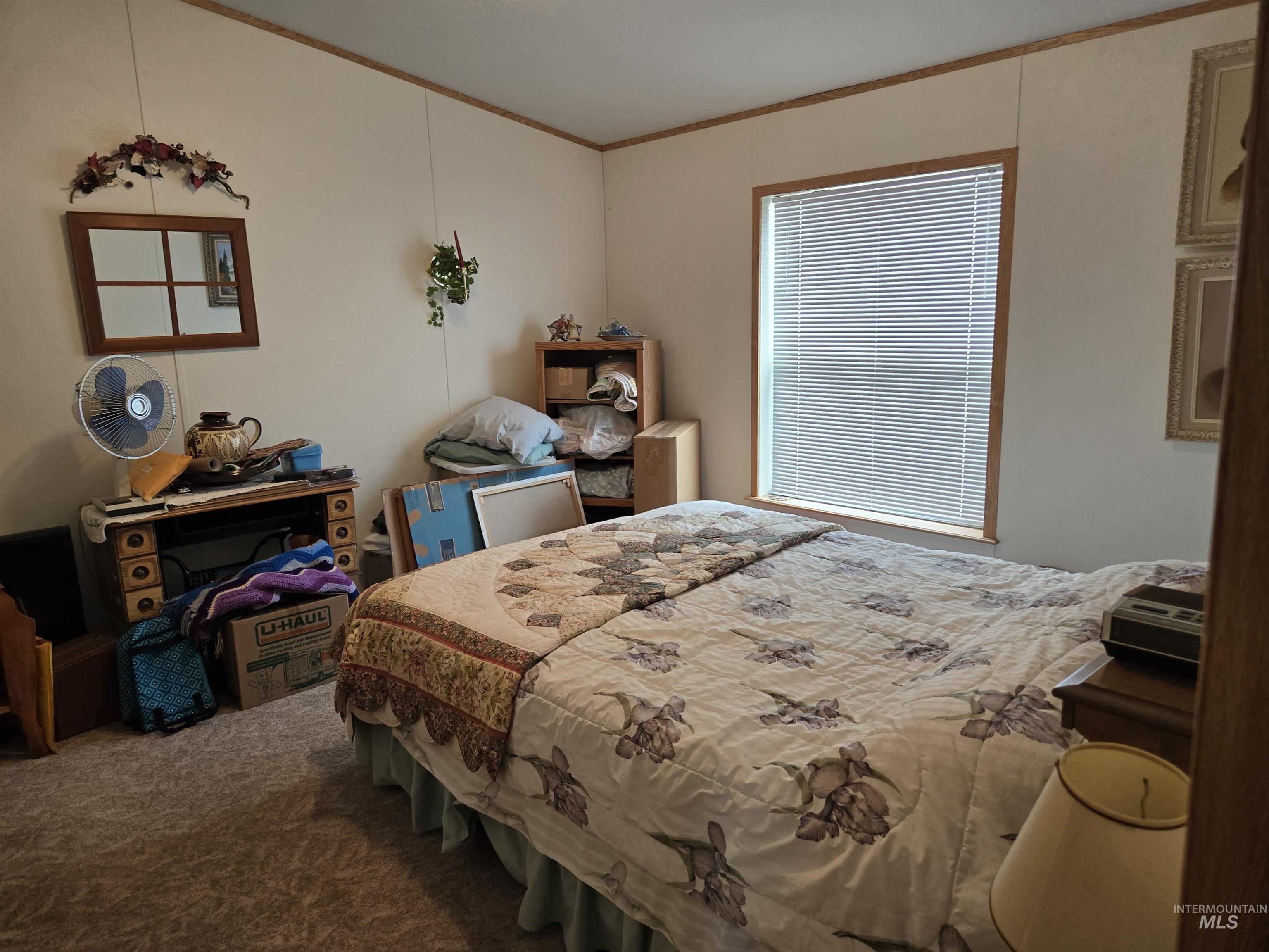 Carpeted bedroom featuring ornamental molding