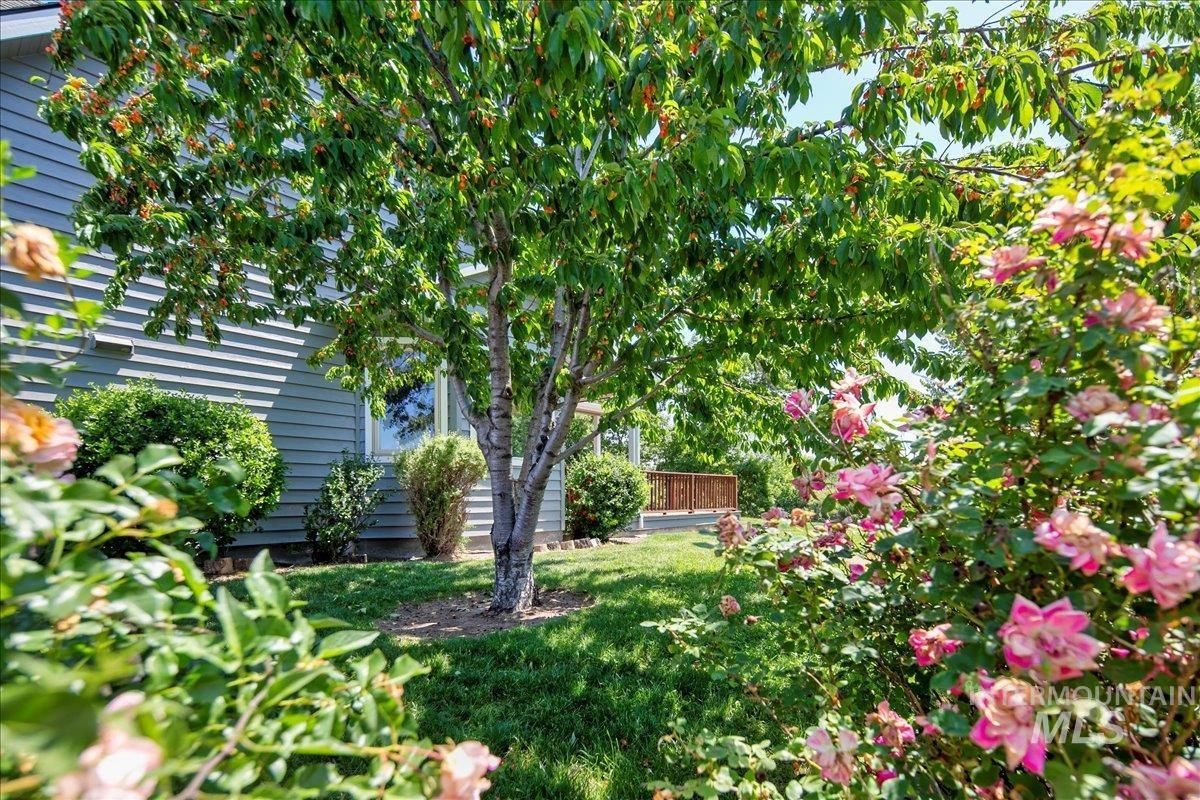5200 Freemont Rd., New Plymouth, Idaho 83655, 3 Bedrooms, 2.5 Bathrooms, Farm & Ranch For Sale, Price $5,150,000, 98954174