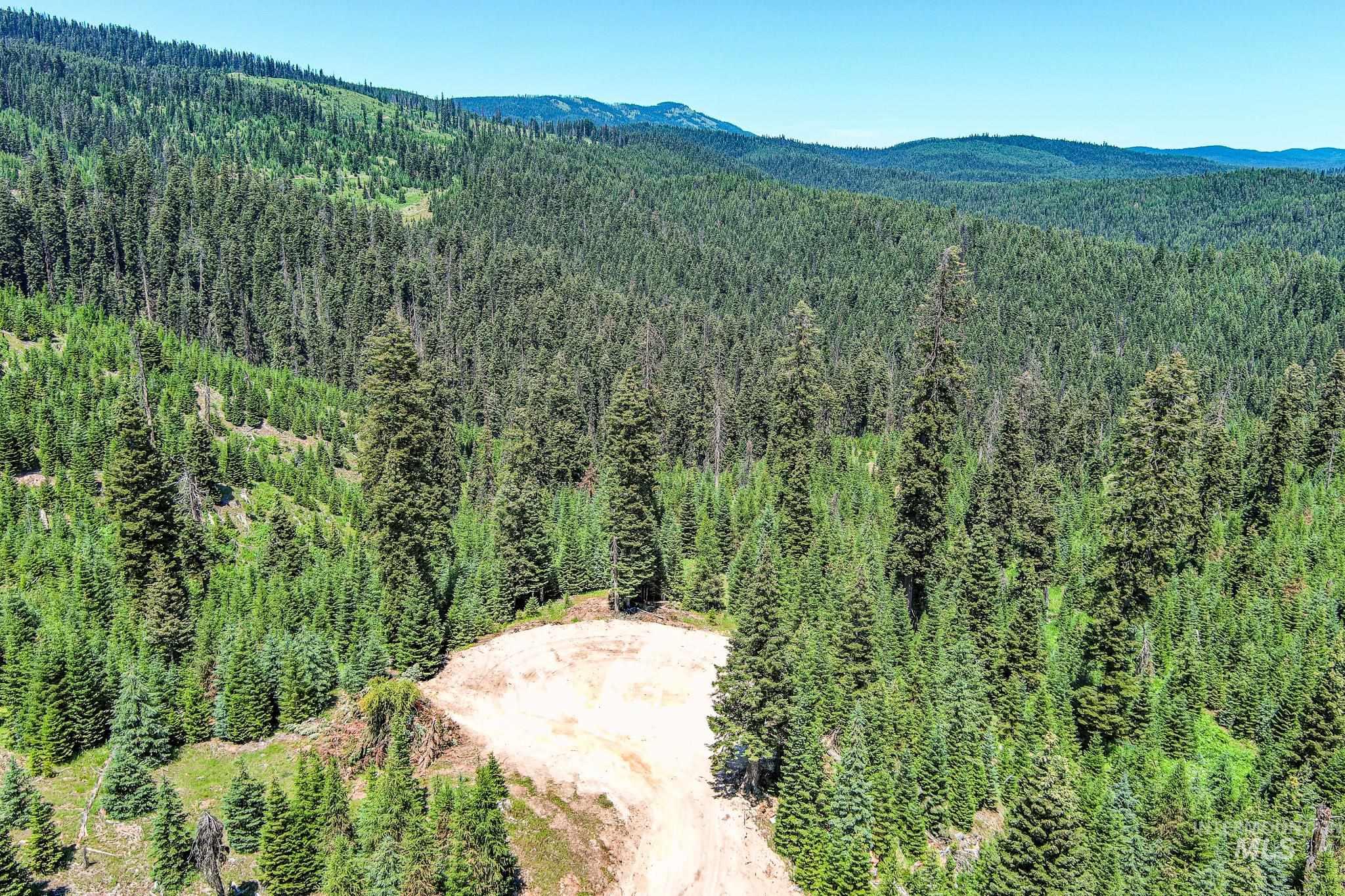 View of mountain background with a forest