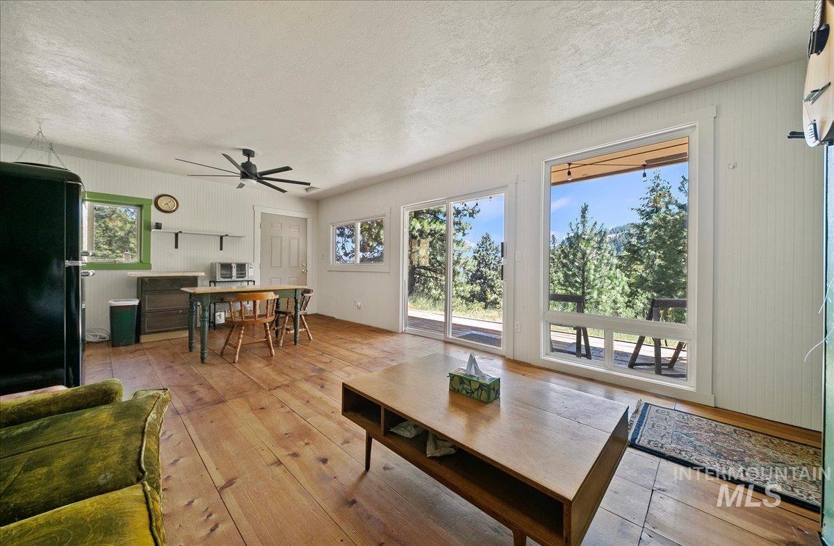 Living room featuring hardwood / wood-style floors, a textured ceiling, and ceiling fan