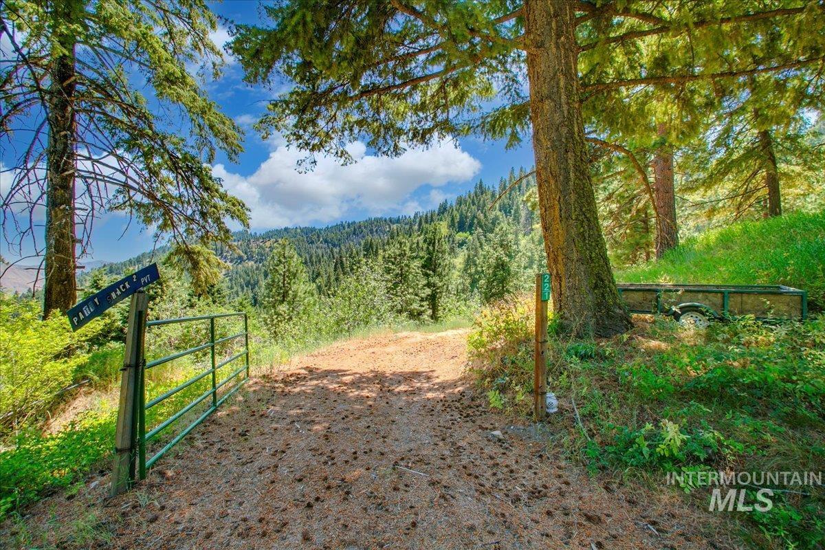 View of road featuring a view of trees and a gated entry