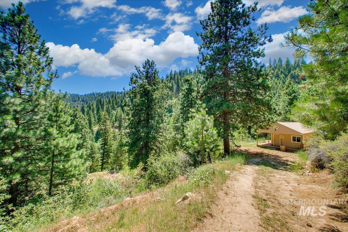 View of yard featuring a view of trees
