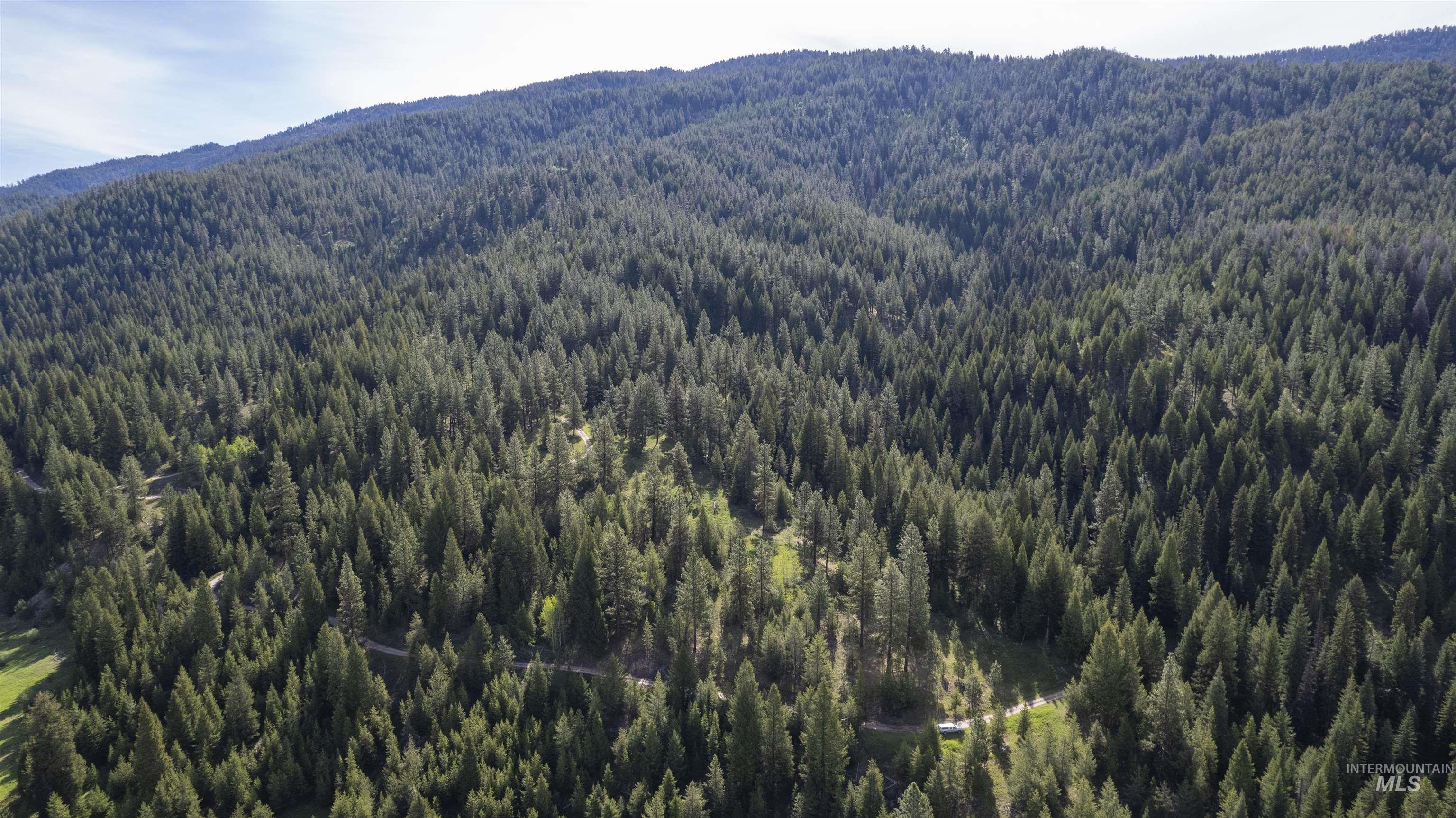 TBD 38 Clear Creek Road, Cascade, Idaho 83611, Land For Sale, Price $233,325,MLS 98954301