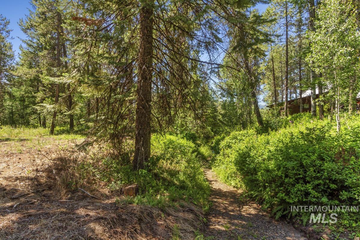 238 Angus Lane, Donnelly, Idaho 83615, 2 Bedrooms, 1 Bathroom, Residential For Sale, Price $774,000,MLS 98954308