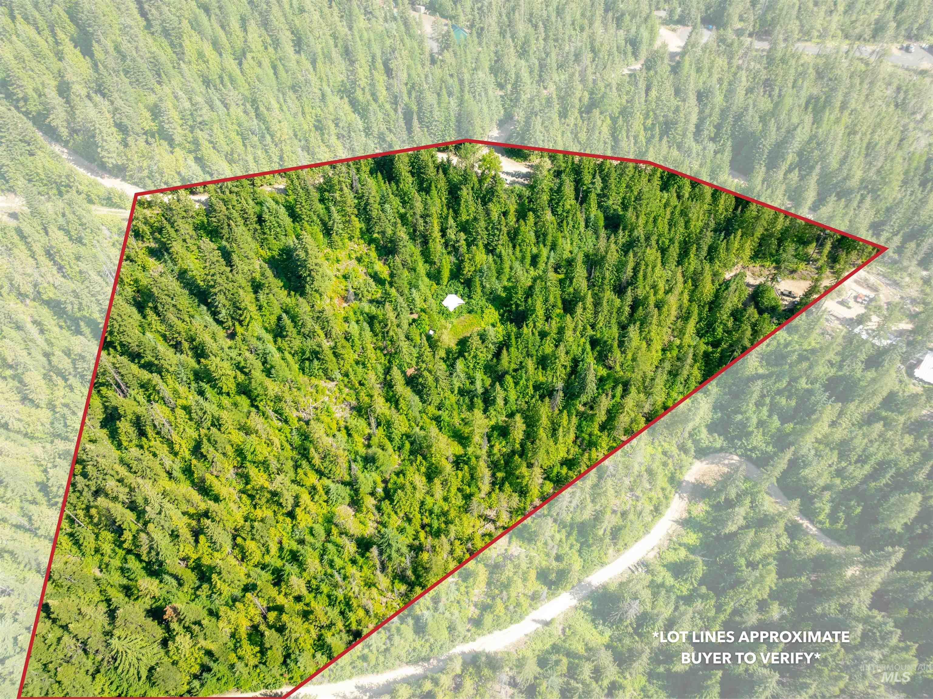 Aerial overview of property\'s location with a forest and property boundaries highlighted