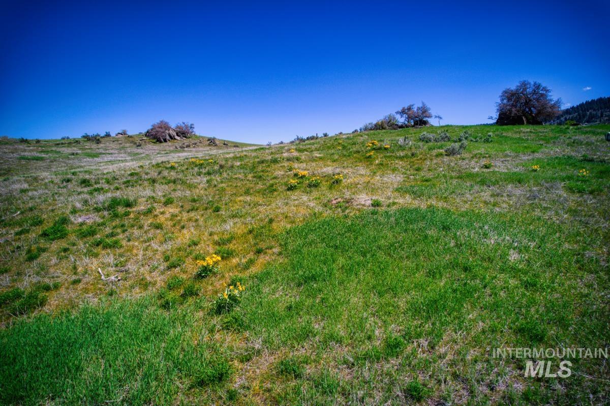 Parcel A&B Timber Flat Rd., Ola, Idaho 83657, Land For Sale, Price $767,996, 98954409