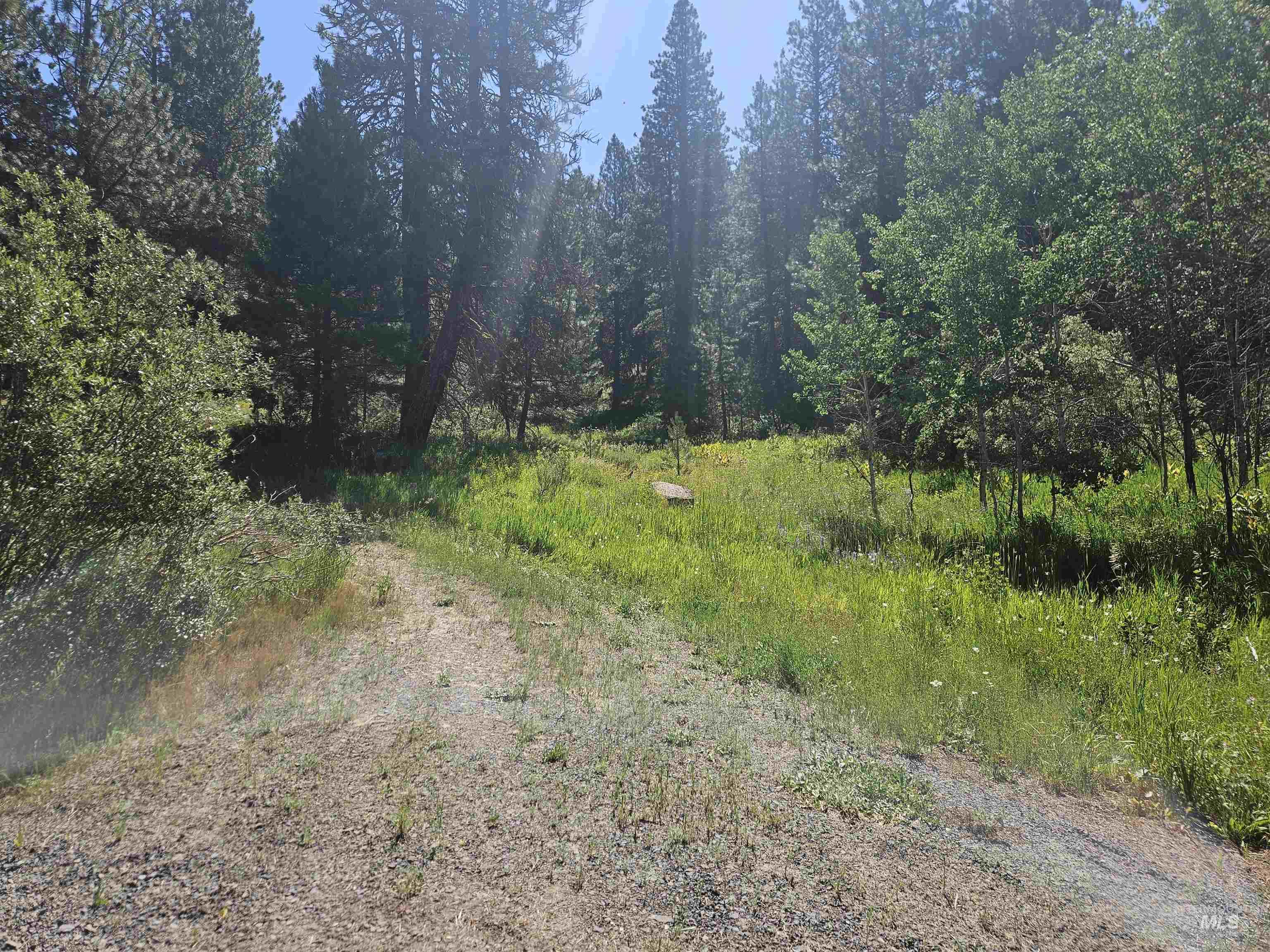 View of woods