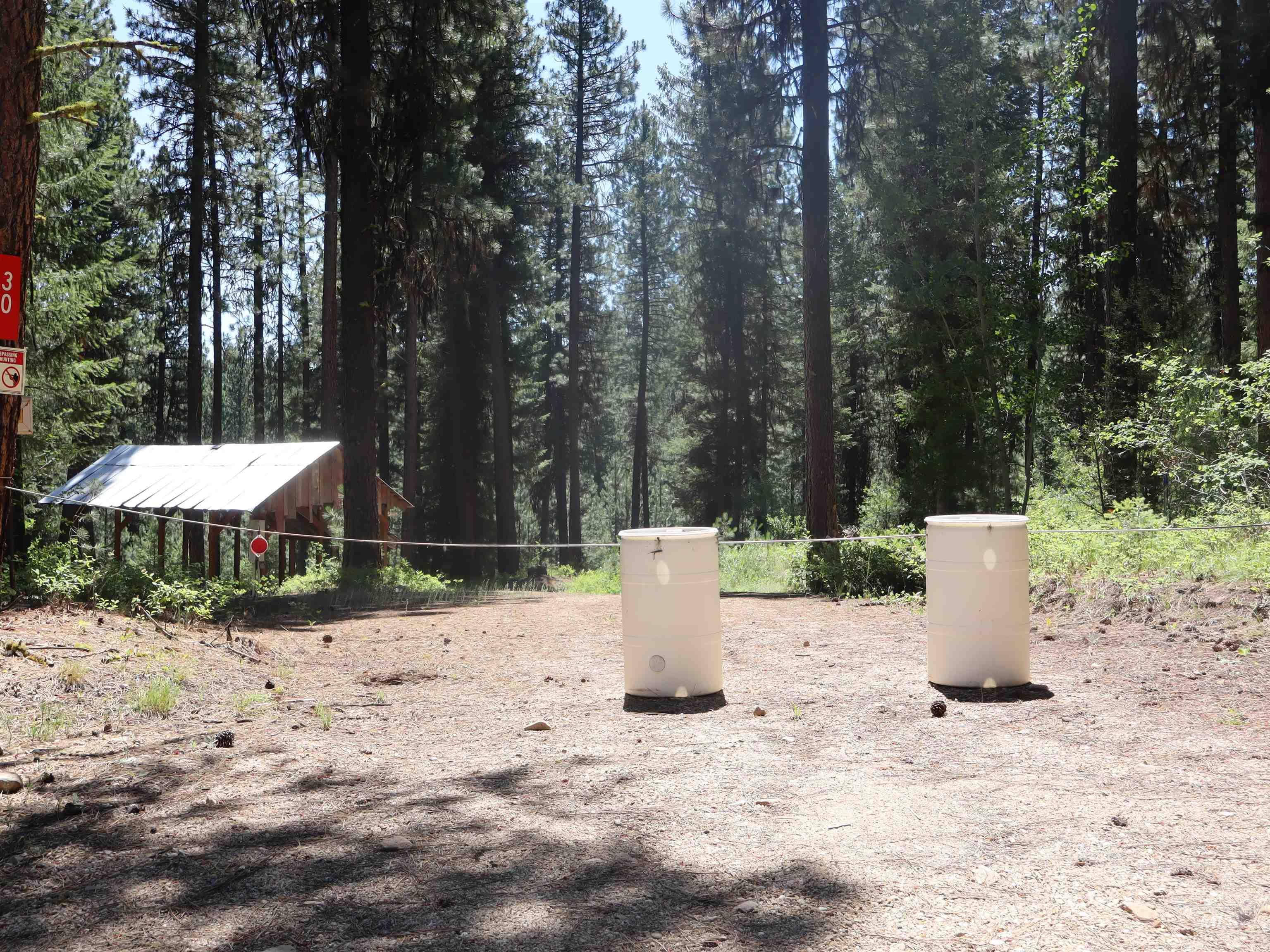 View of yard featuring a view of trees