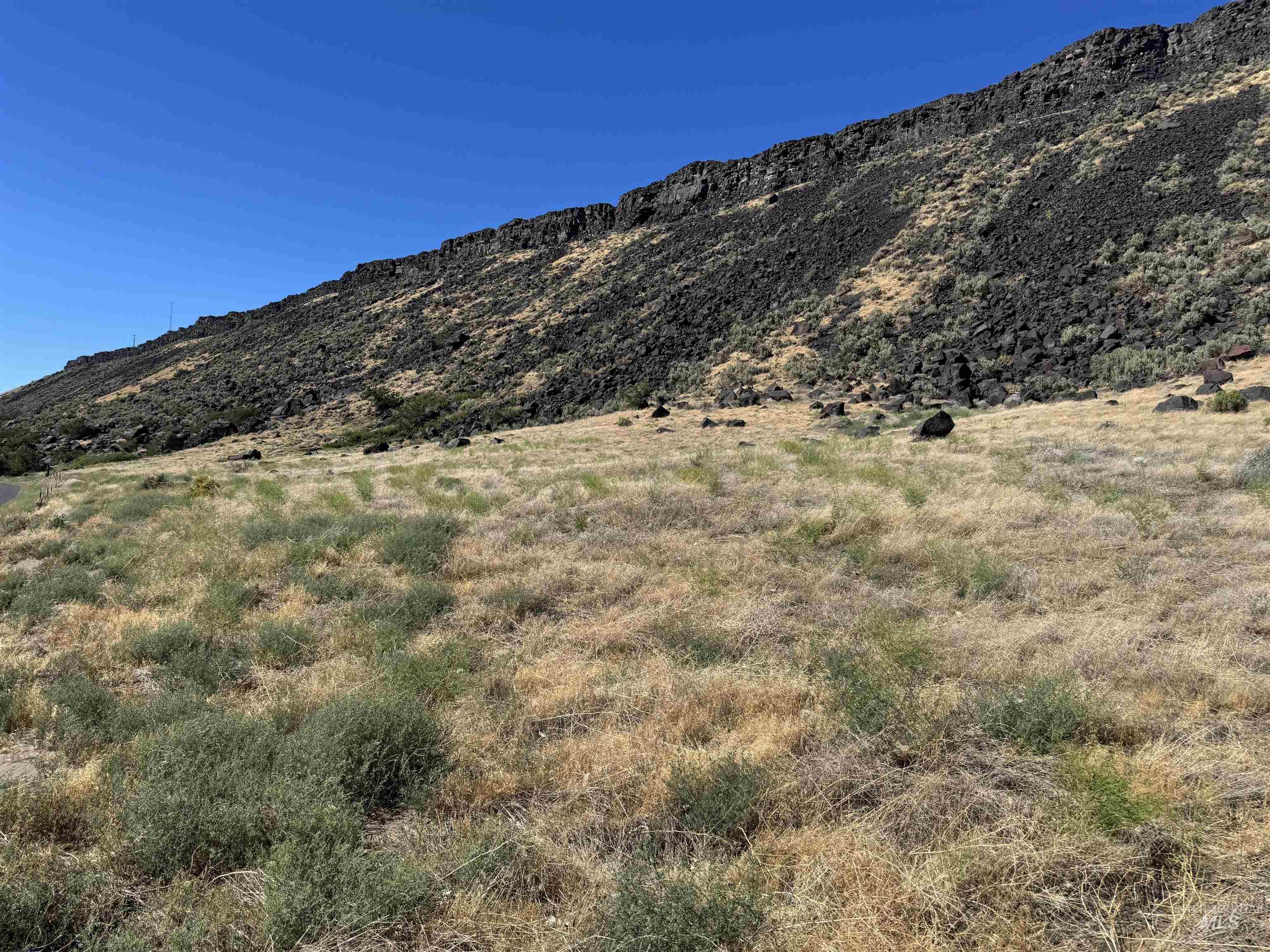 Par 1 TBD River Road, Bliss, Idaho 83314, Land For Sale, Price $107,500,MLS 98954520