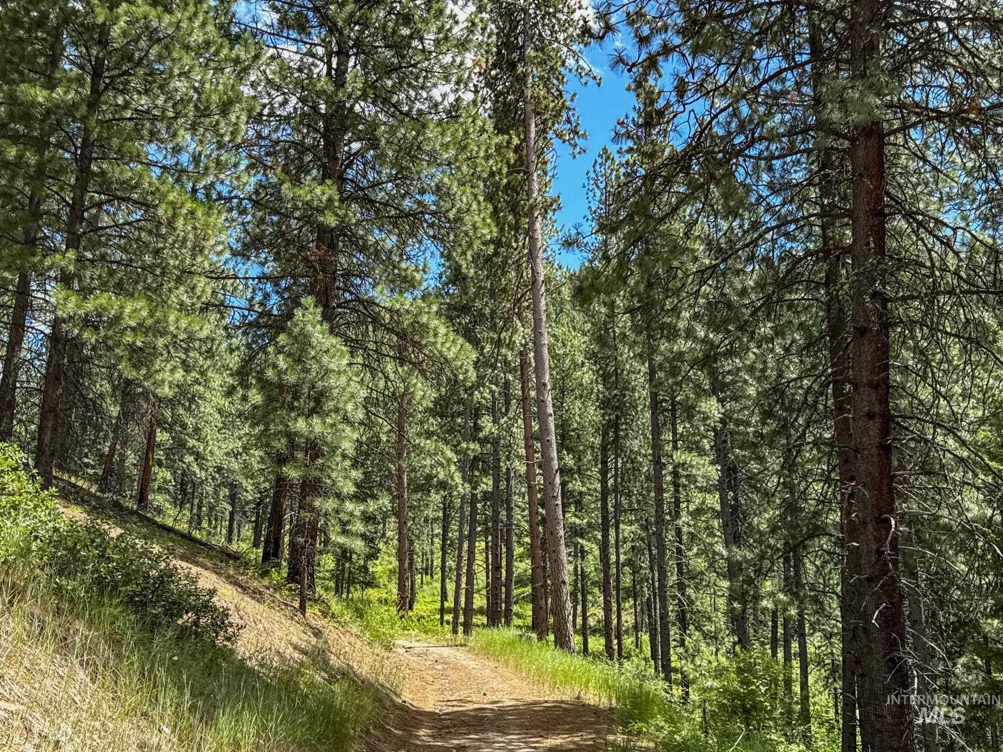 View of woods