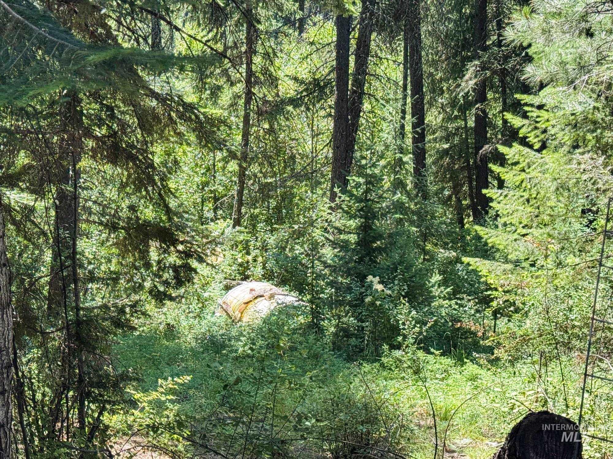 View of woods