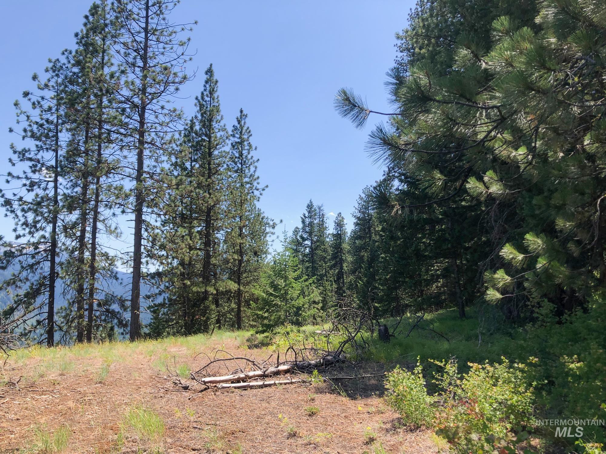 View of nature