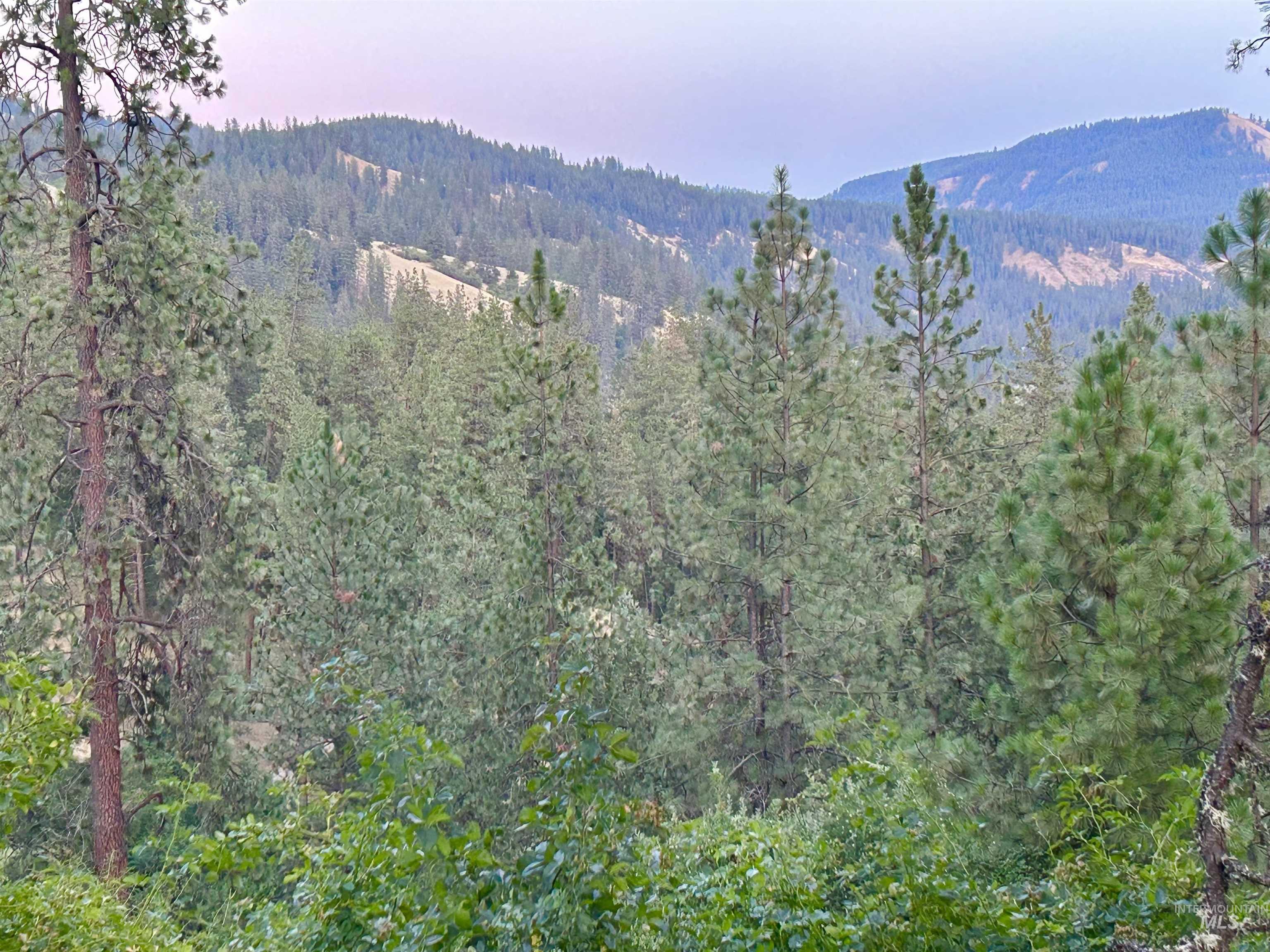 View from property.