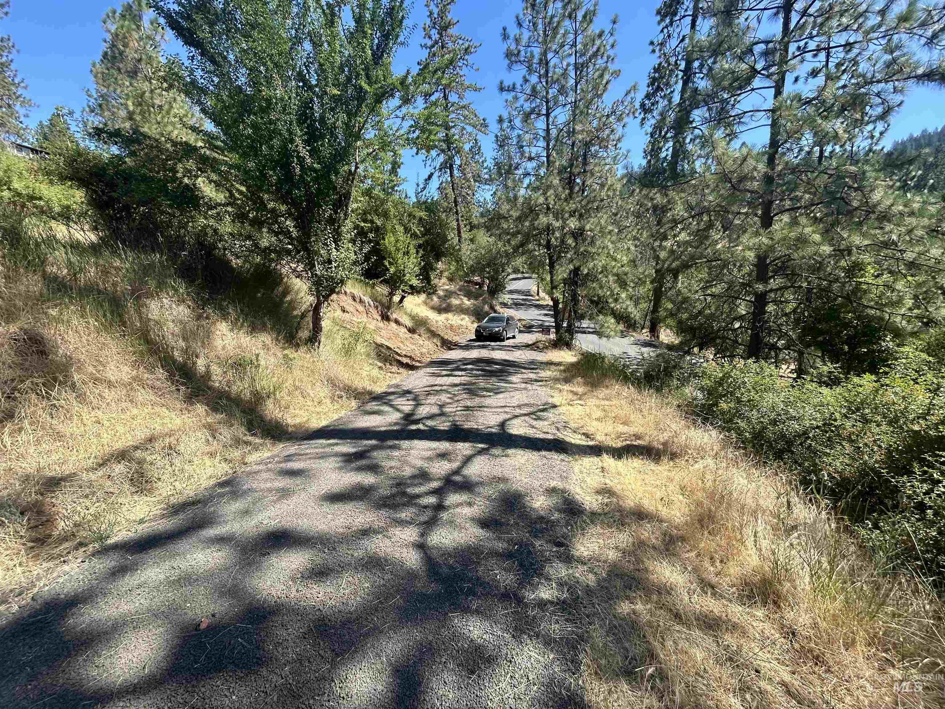 Driveway easement coming off of Upper Fords Creek Rd. (Bottom of property),