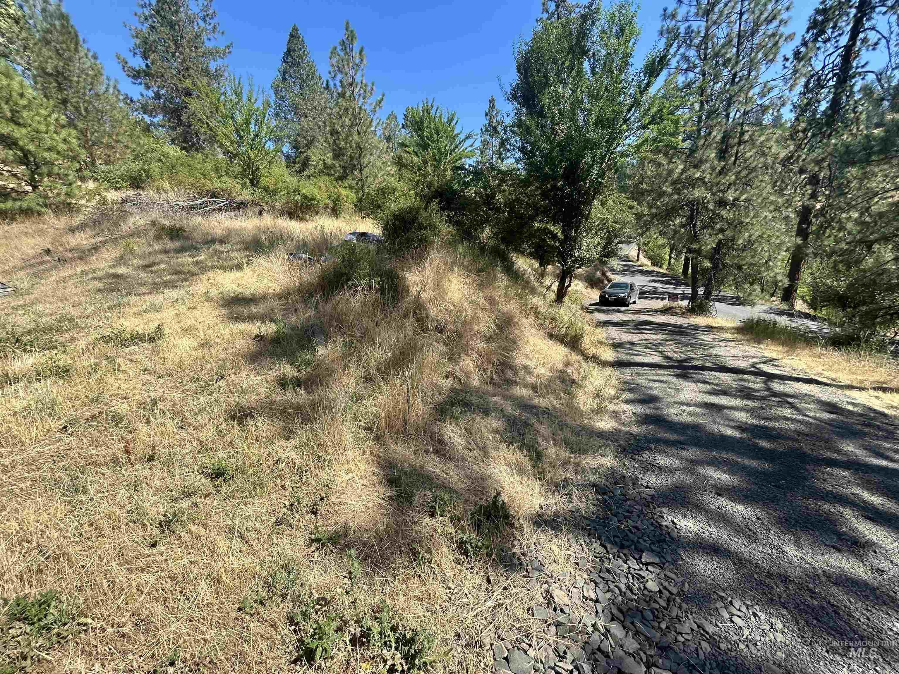 Driveway easement leading to property.
