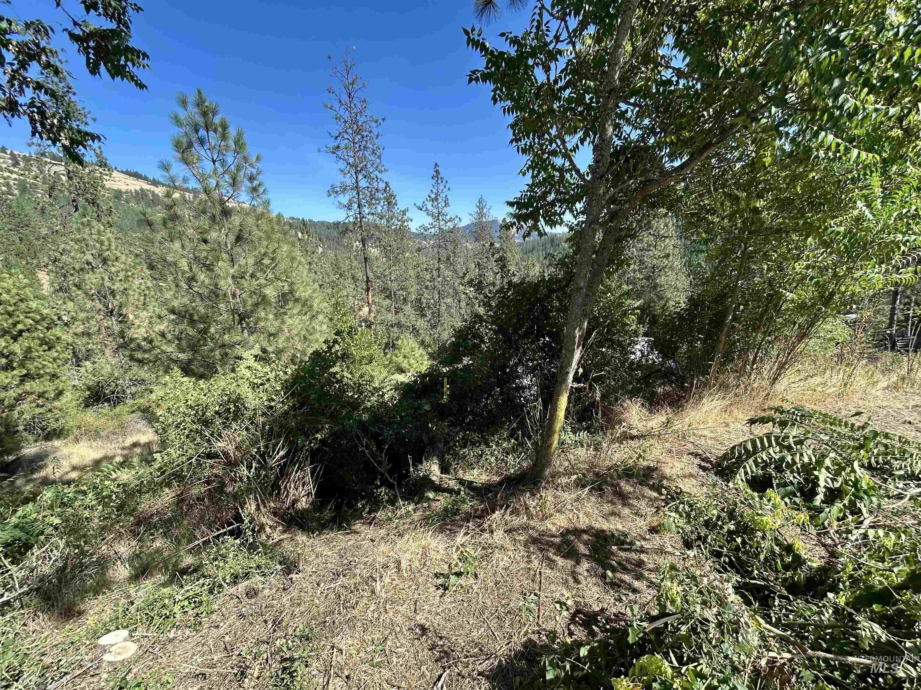 TBD Highland Ct, Orofino, Idaho 83544, Land For Sale, Price $39,999,MLS 98954762