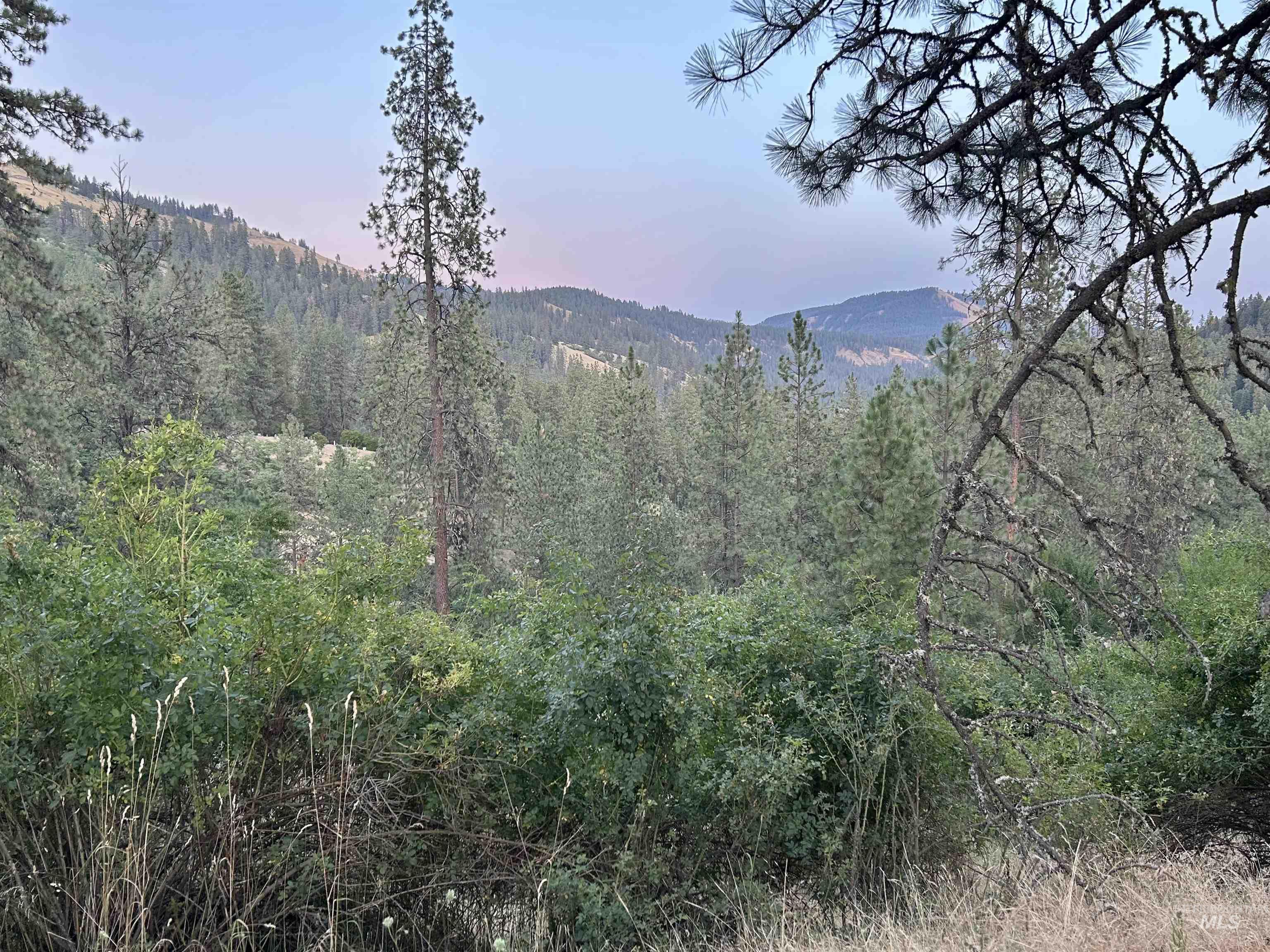 View from Property.