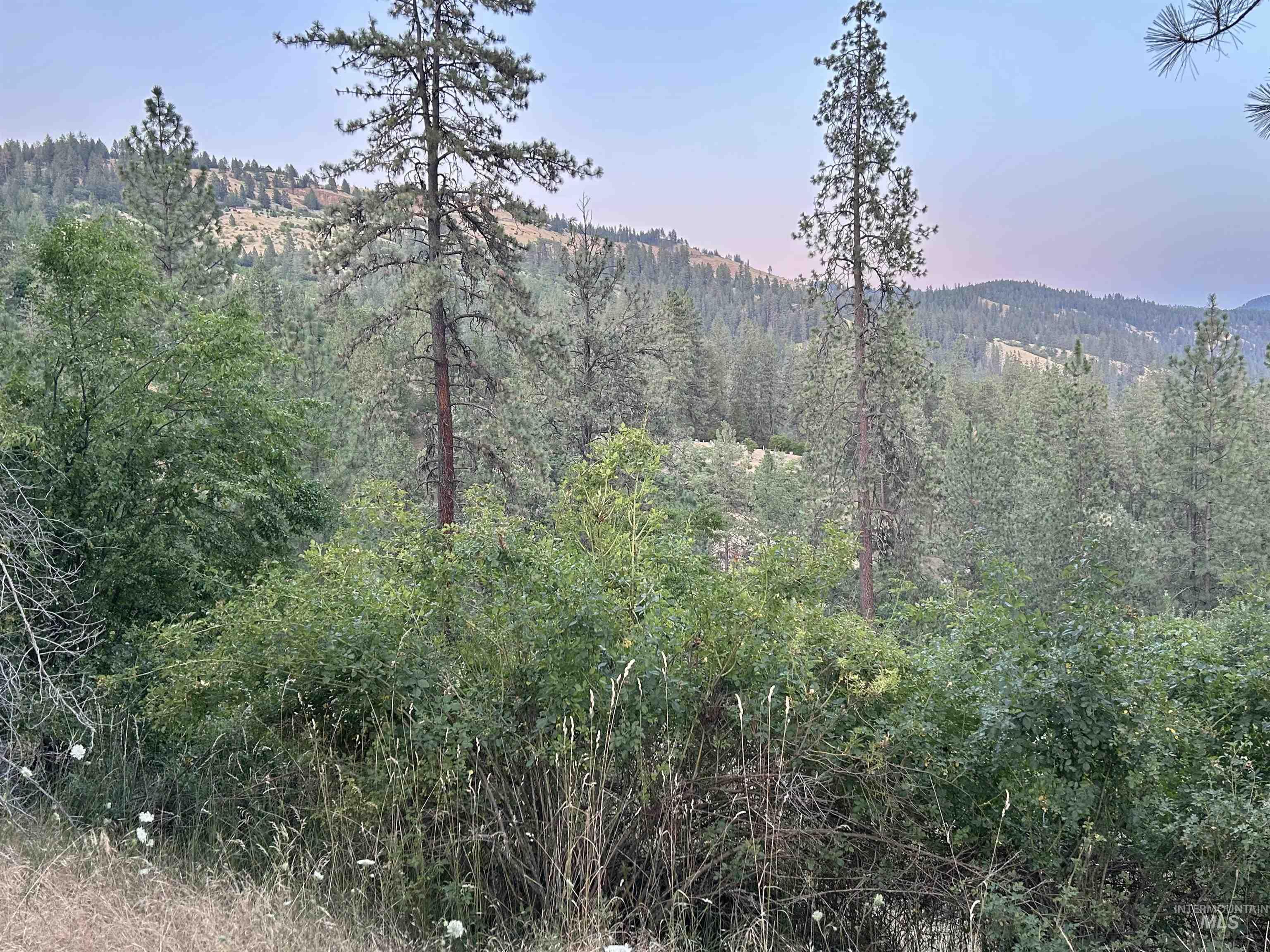 View from Property.