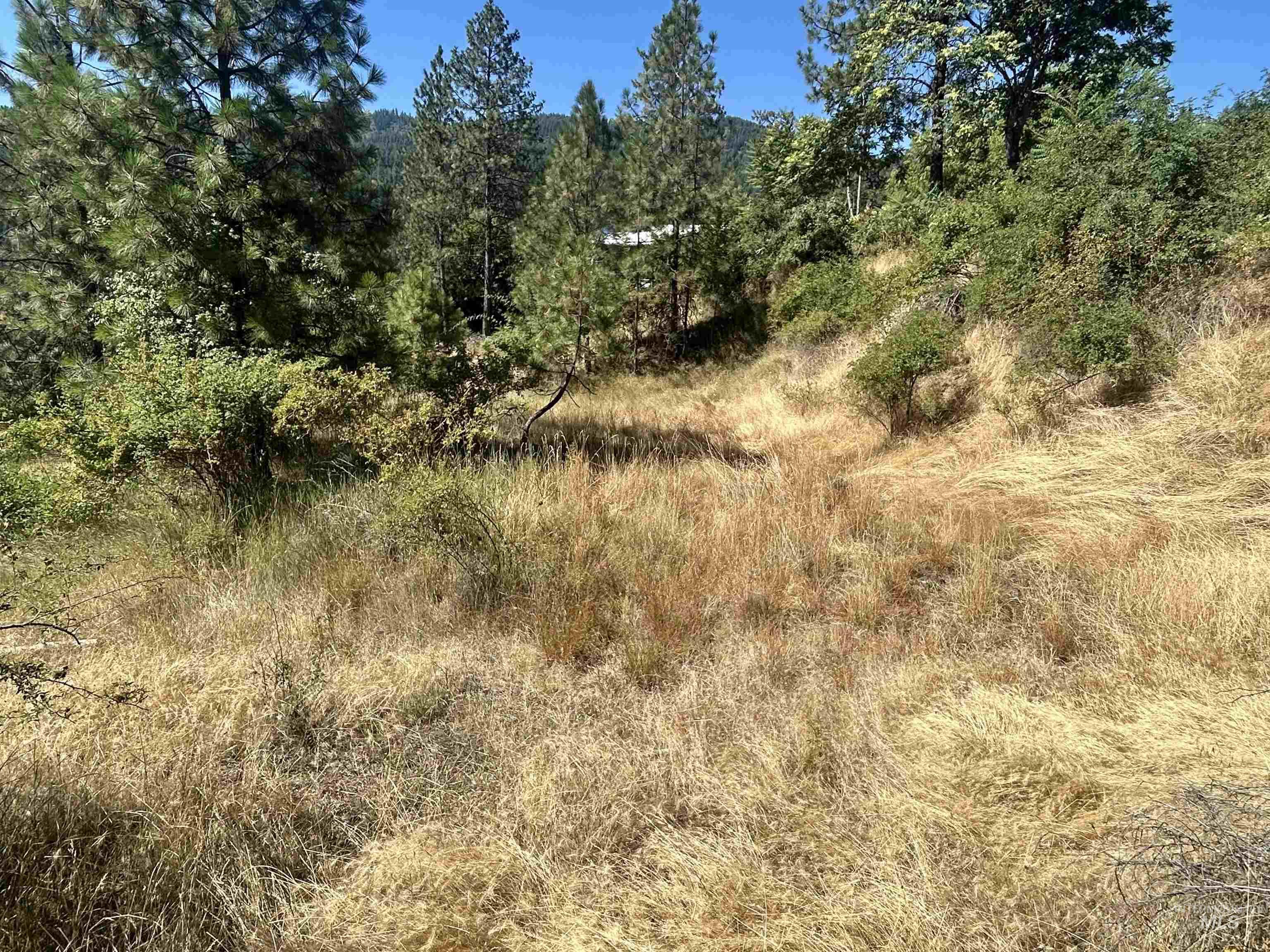 Level area for building