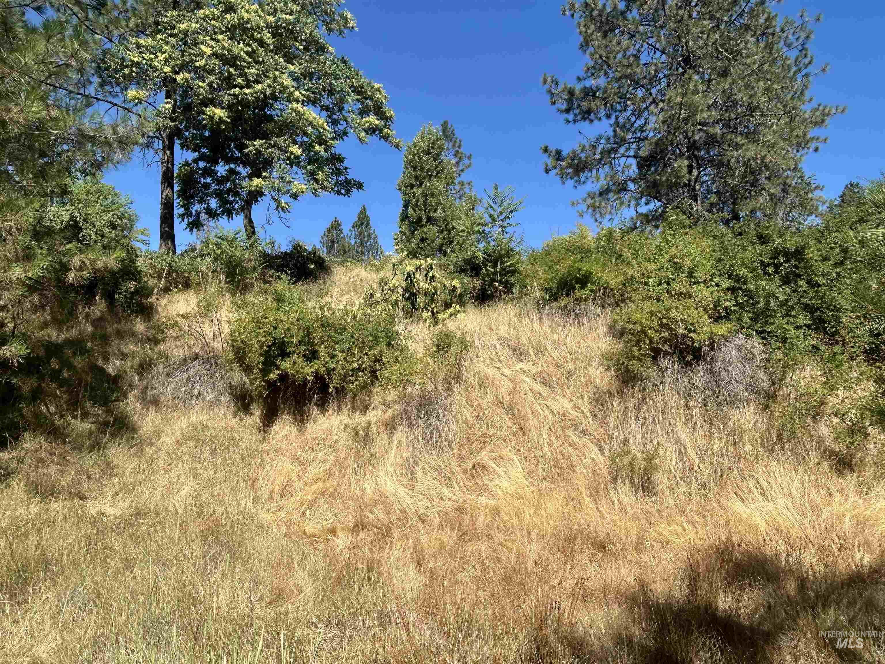 TBD Highland Ct, Orofino, Idaho 83544, Land For Sale, Price $39,999,MLS 98954762