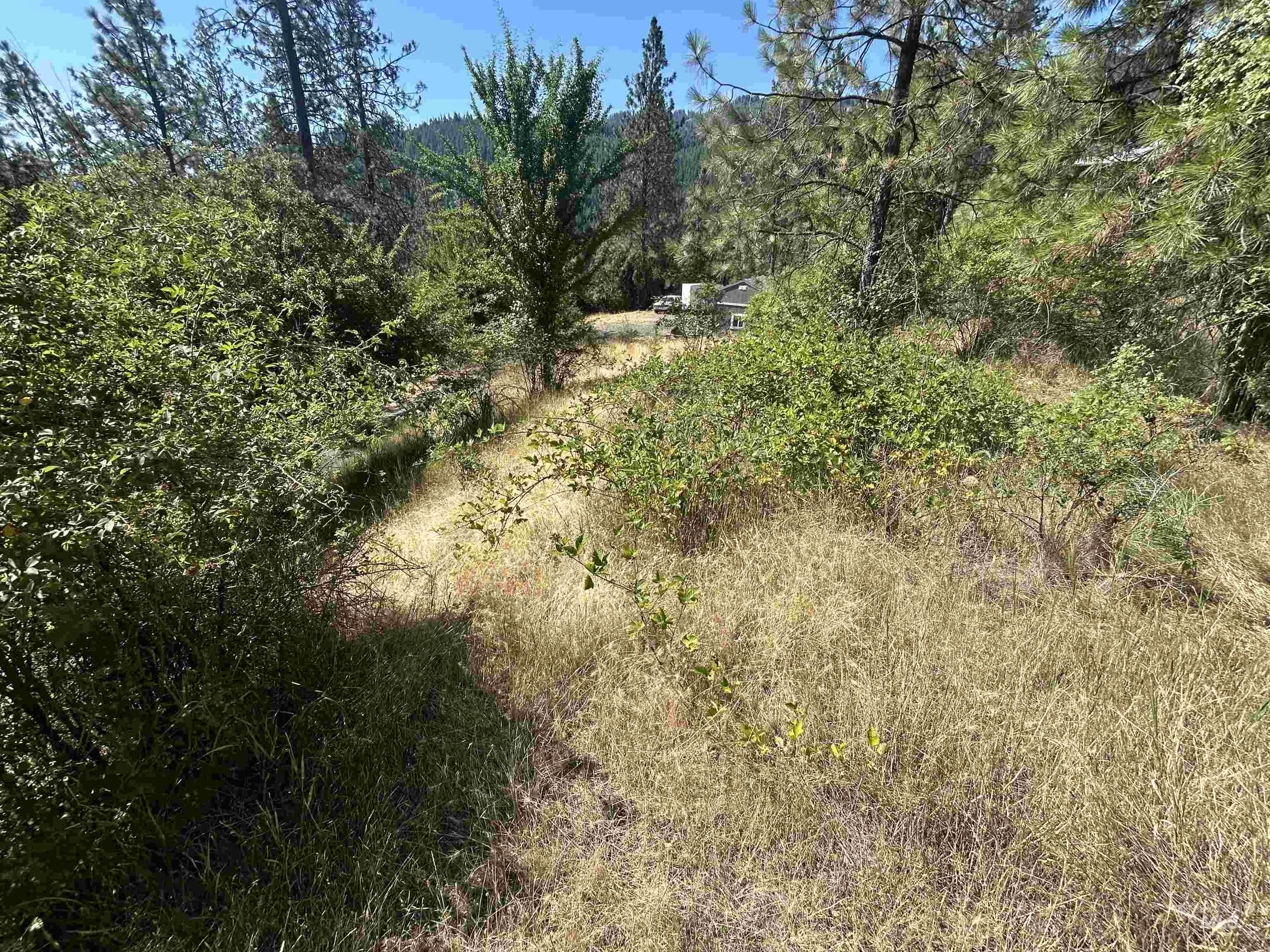 Level area with neighbor's shed in distance.