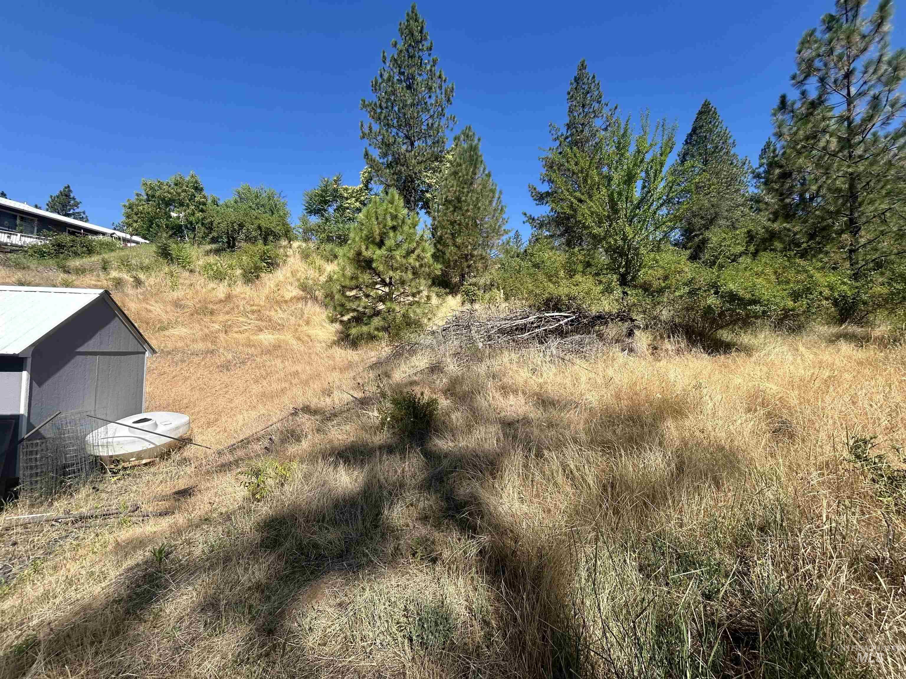 Lot line near neighbors shed.