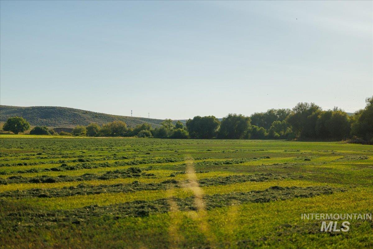 View of undeveloped land featuring rural landscape
