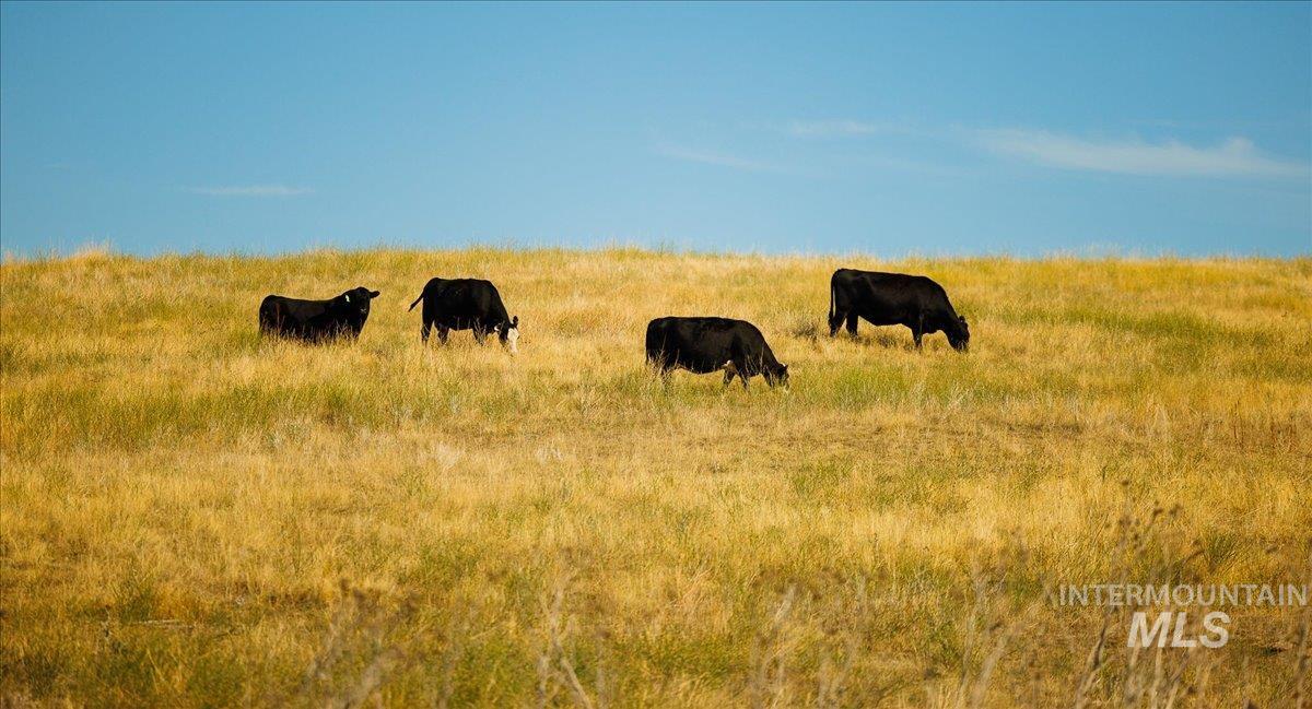 View of nature with rural landscape