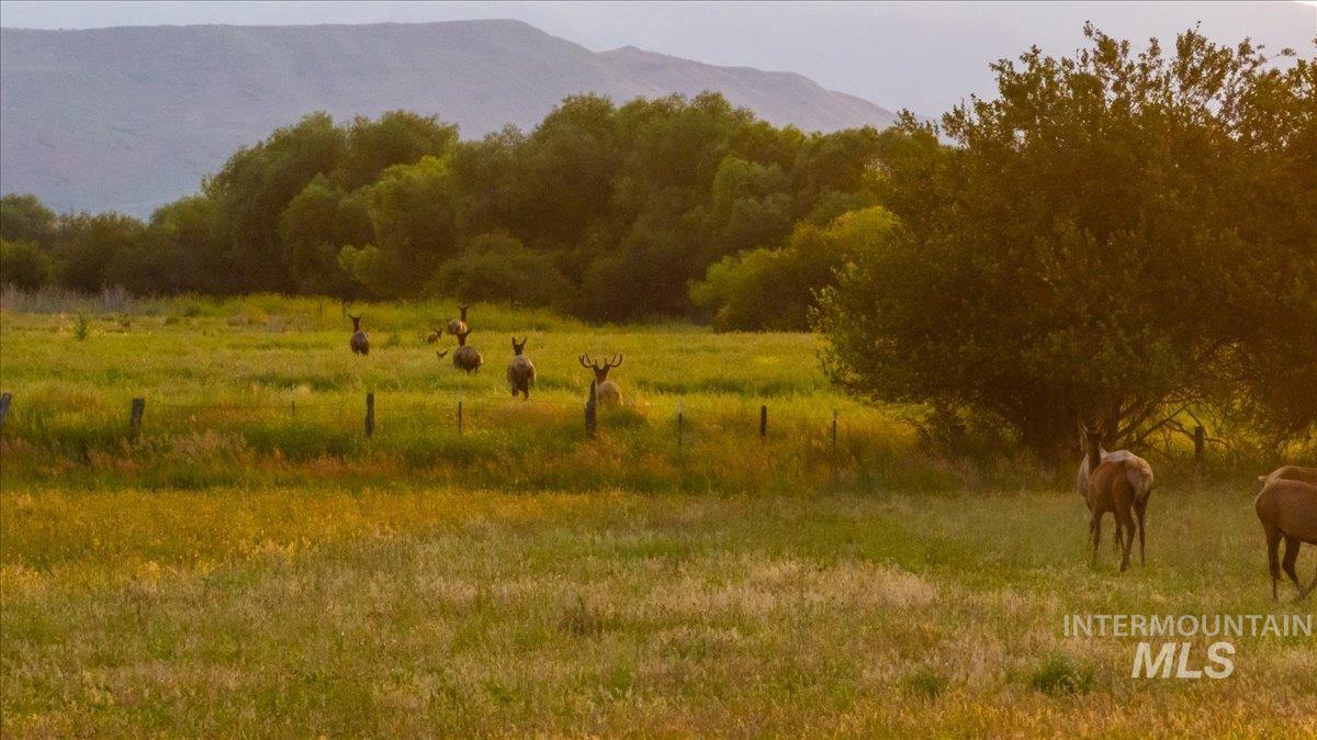 View of mountain background featuring rural landscape