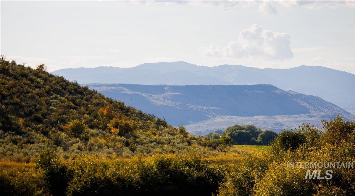 View of mountain background featuring a forest