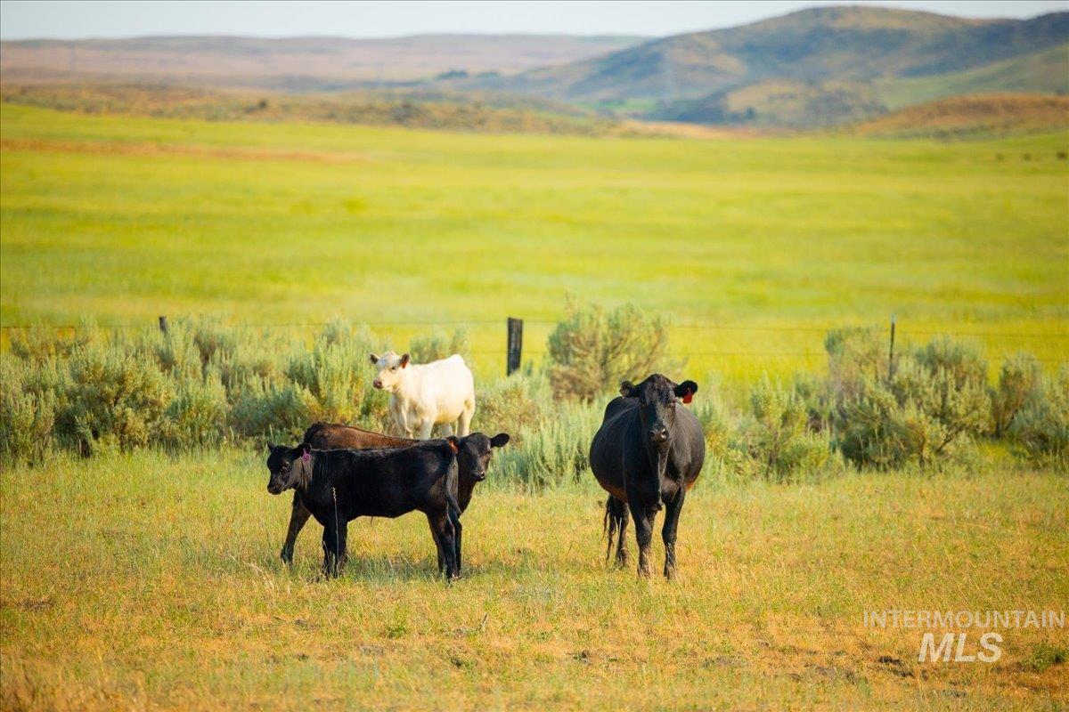 Mountain view featuring rural landscape and agricultural land