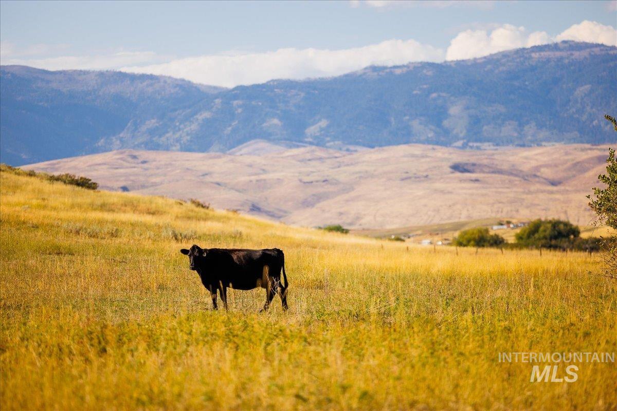 View of mountain backdrop featuring rural landscape