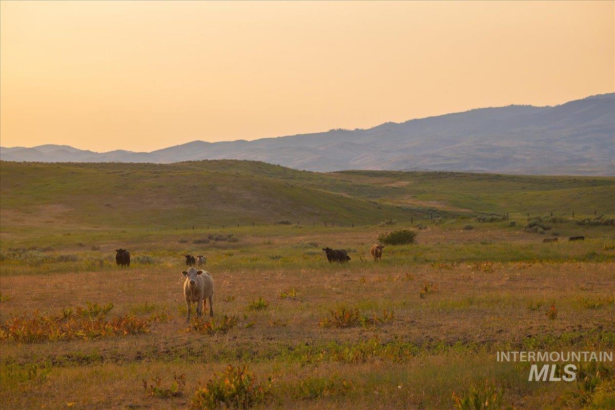 View of mountain background with rural landscape and a pastoral area