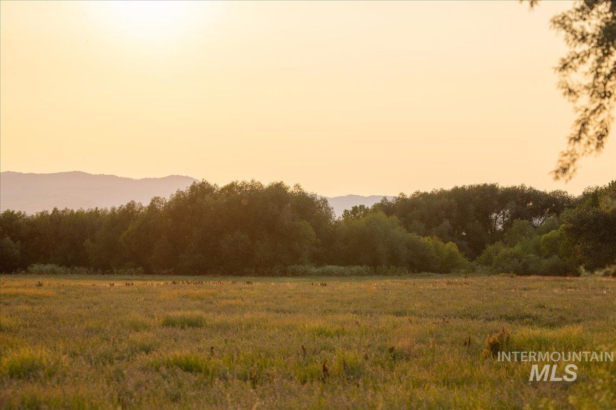 Nature at dusk with a wooded view and a view of rural / pastoral area