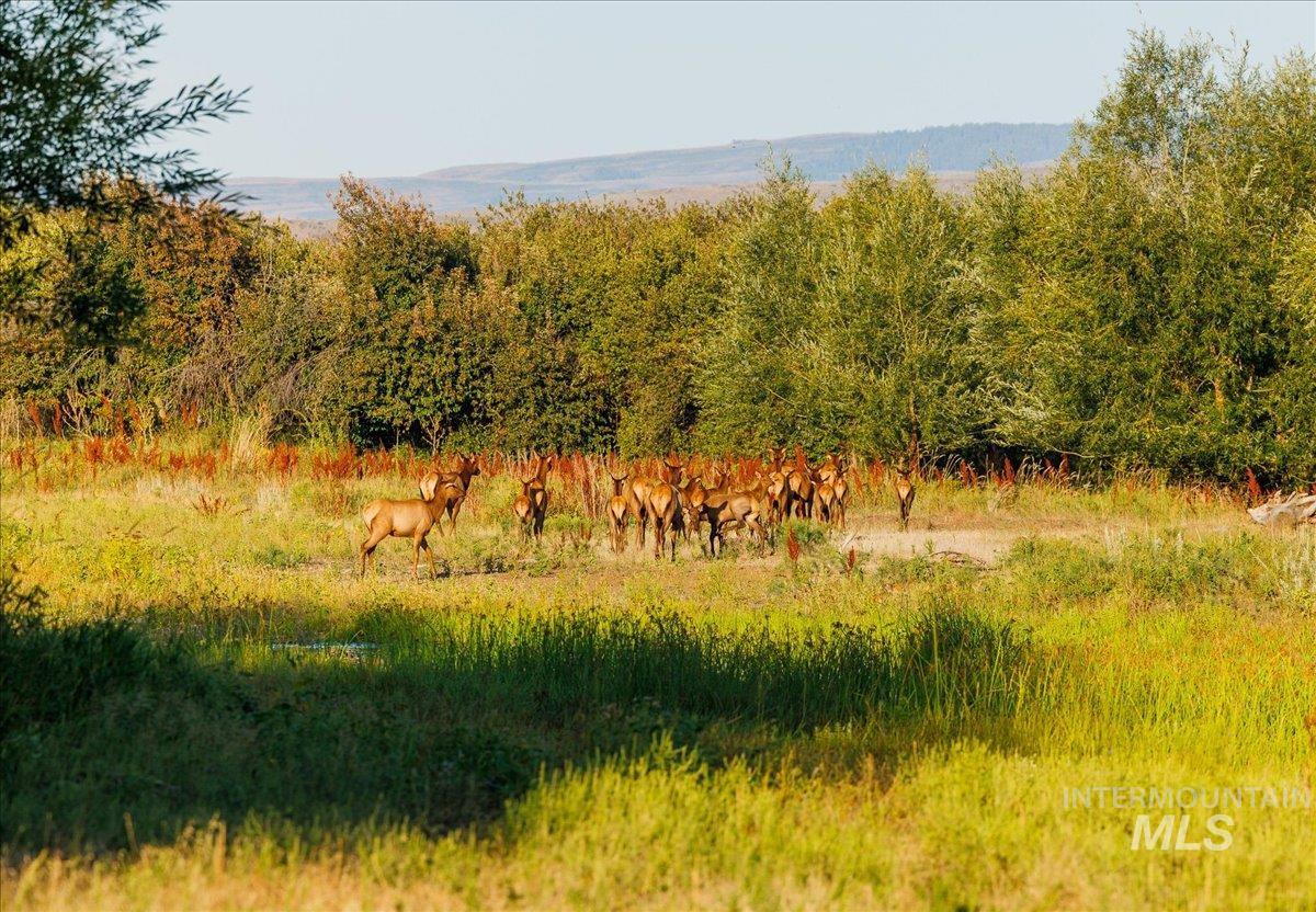 View of local wilderness featuring rural landscape