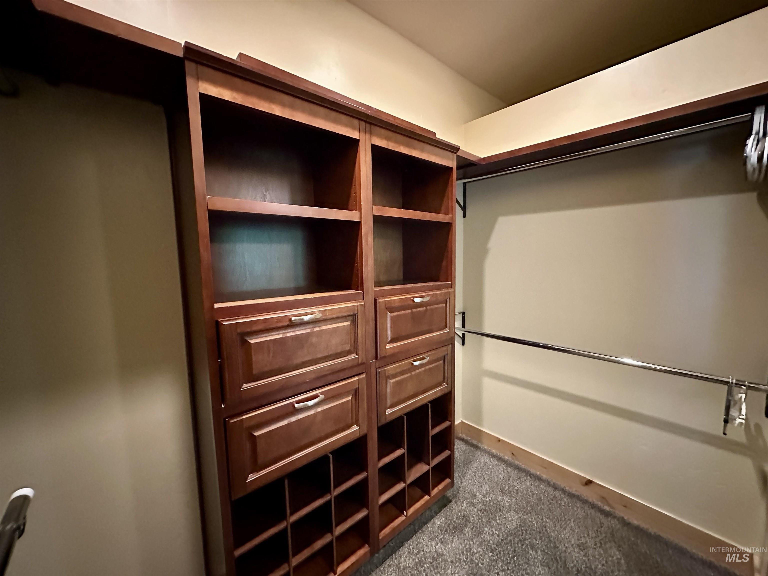 Walk in closet with dark colored carpet
