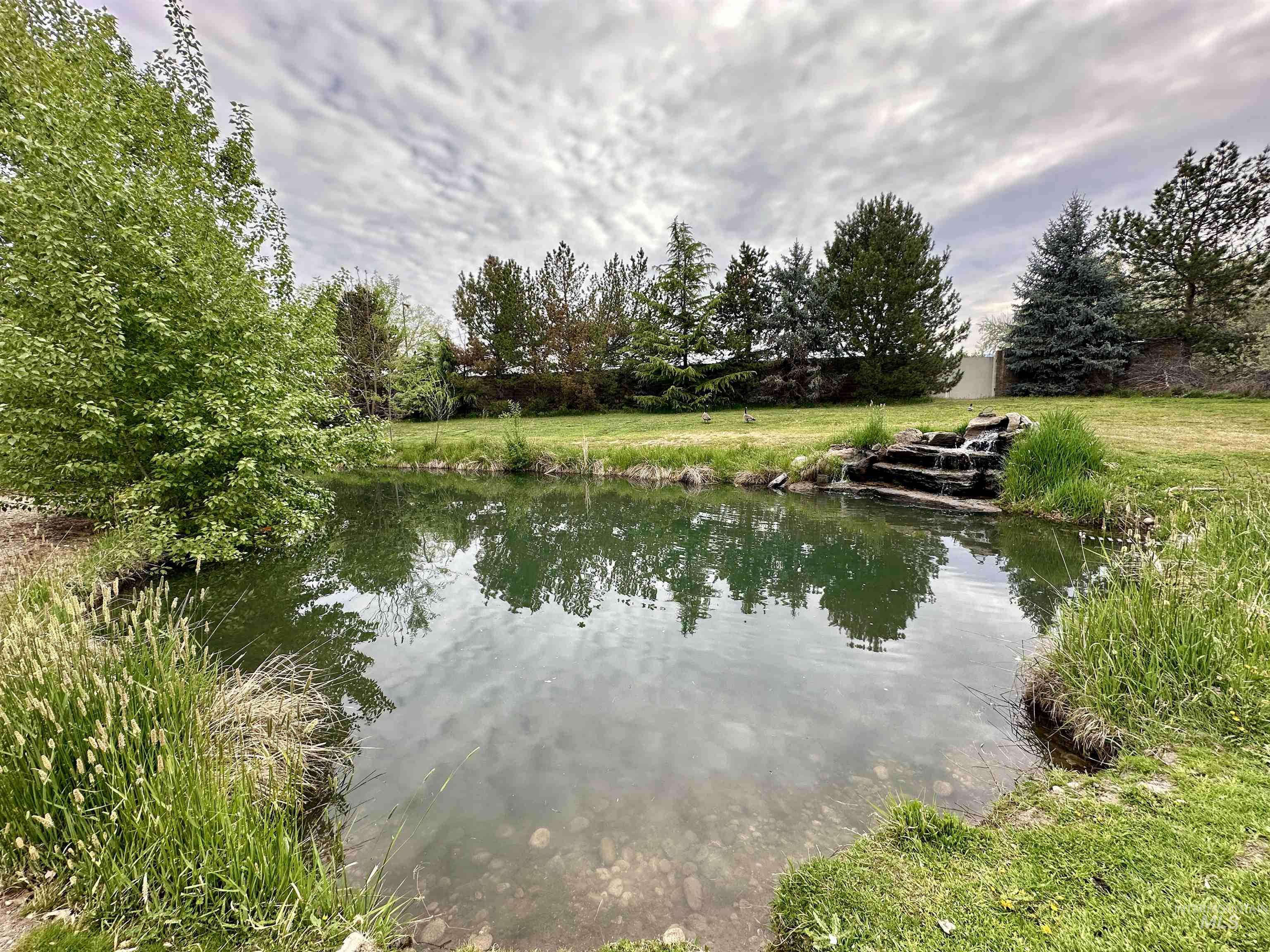 Water view