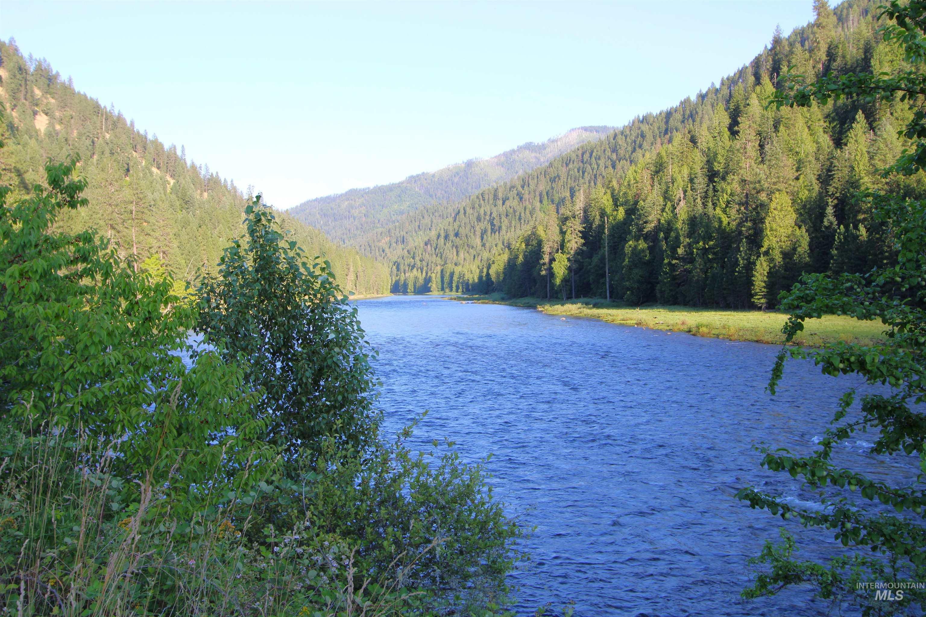 Water view featuring a heavily wooded area and a mountain backdrop
