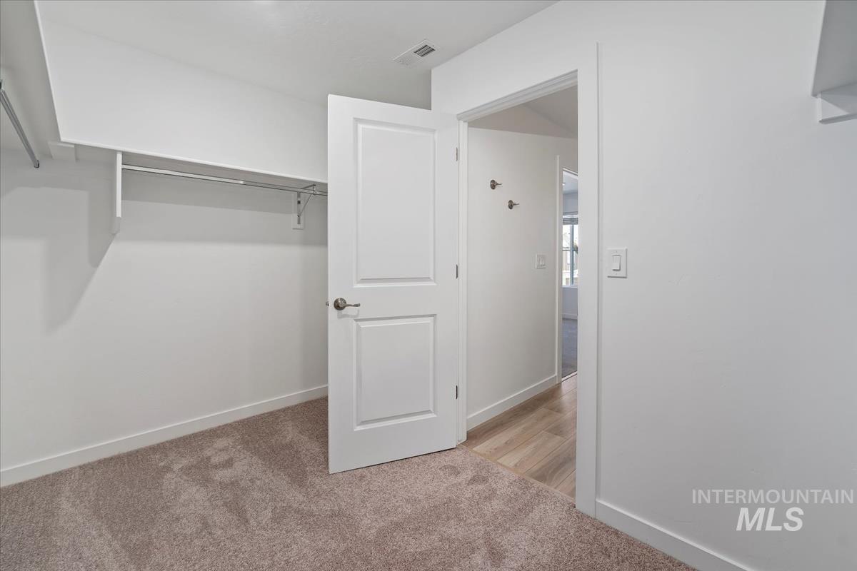 Spacious closet featuring carpet