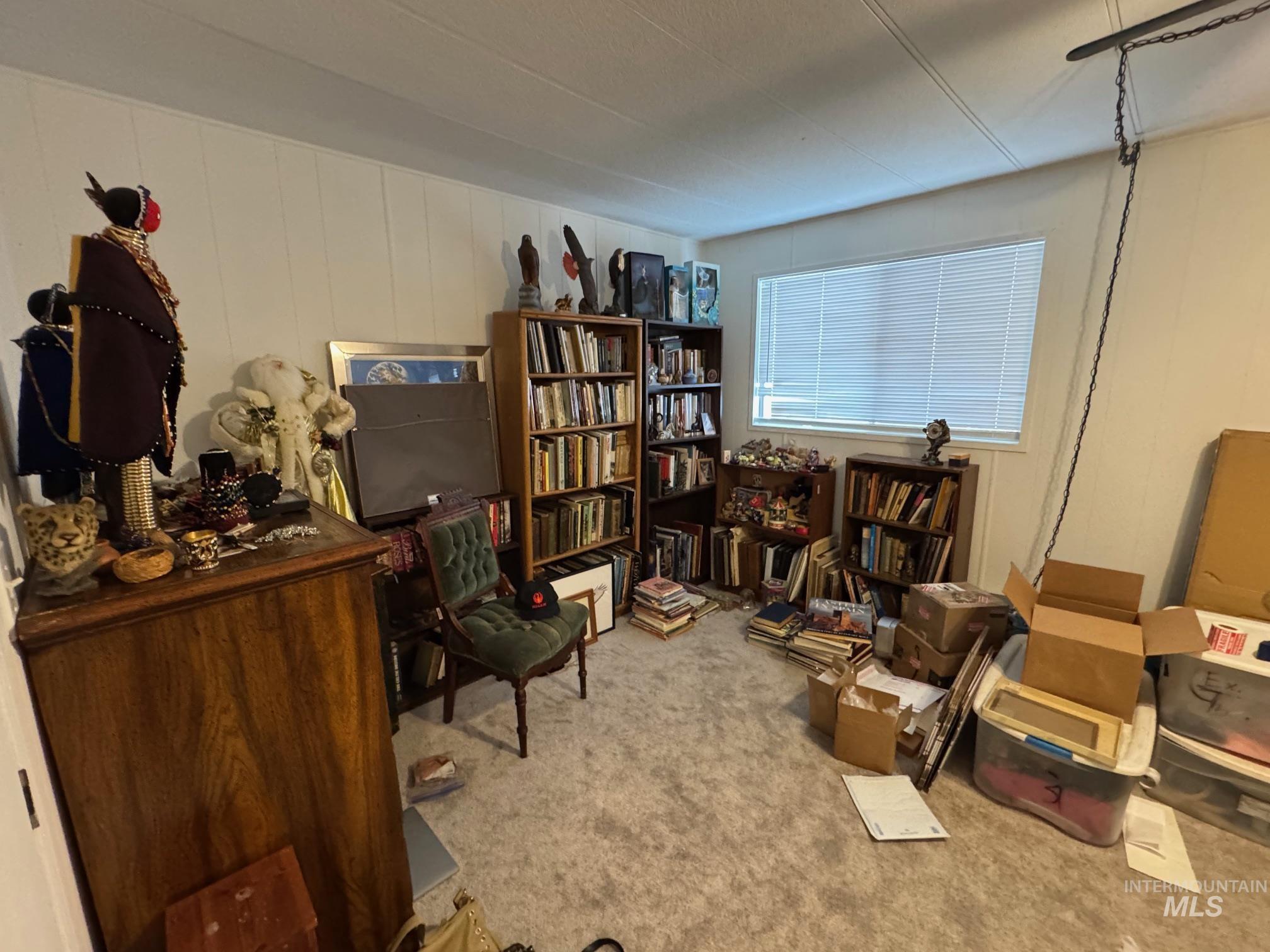 Living area featuring carpet floors