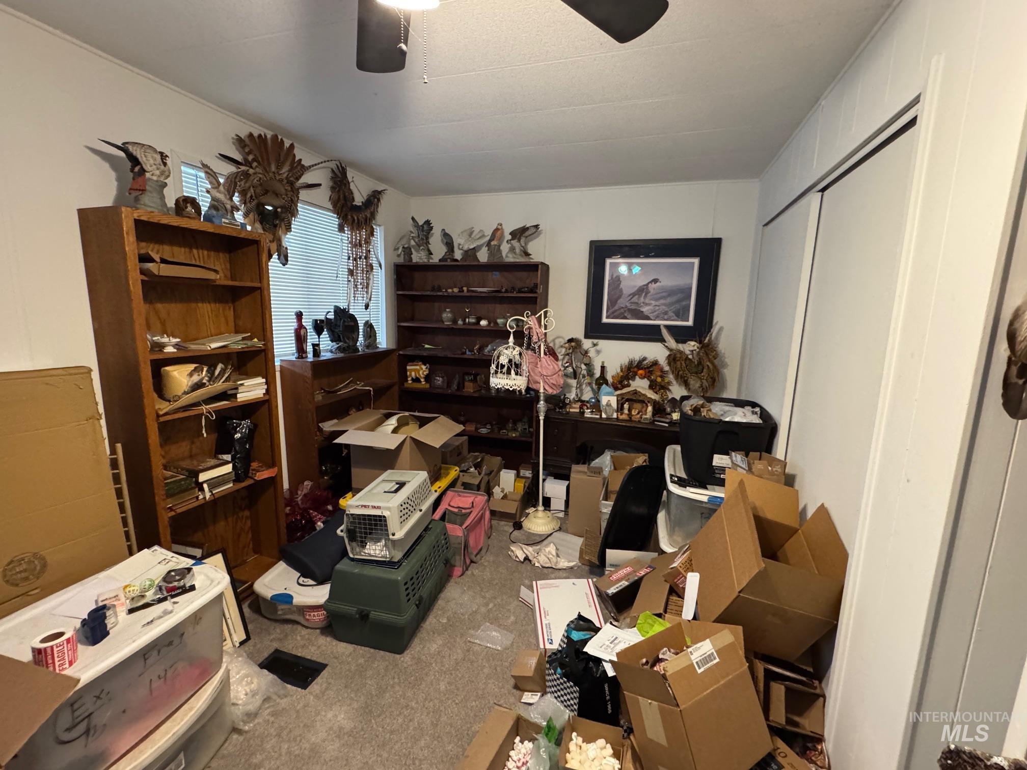 Office space featuring carpet and a ceiling fan