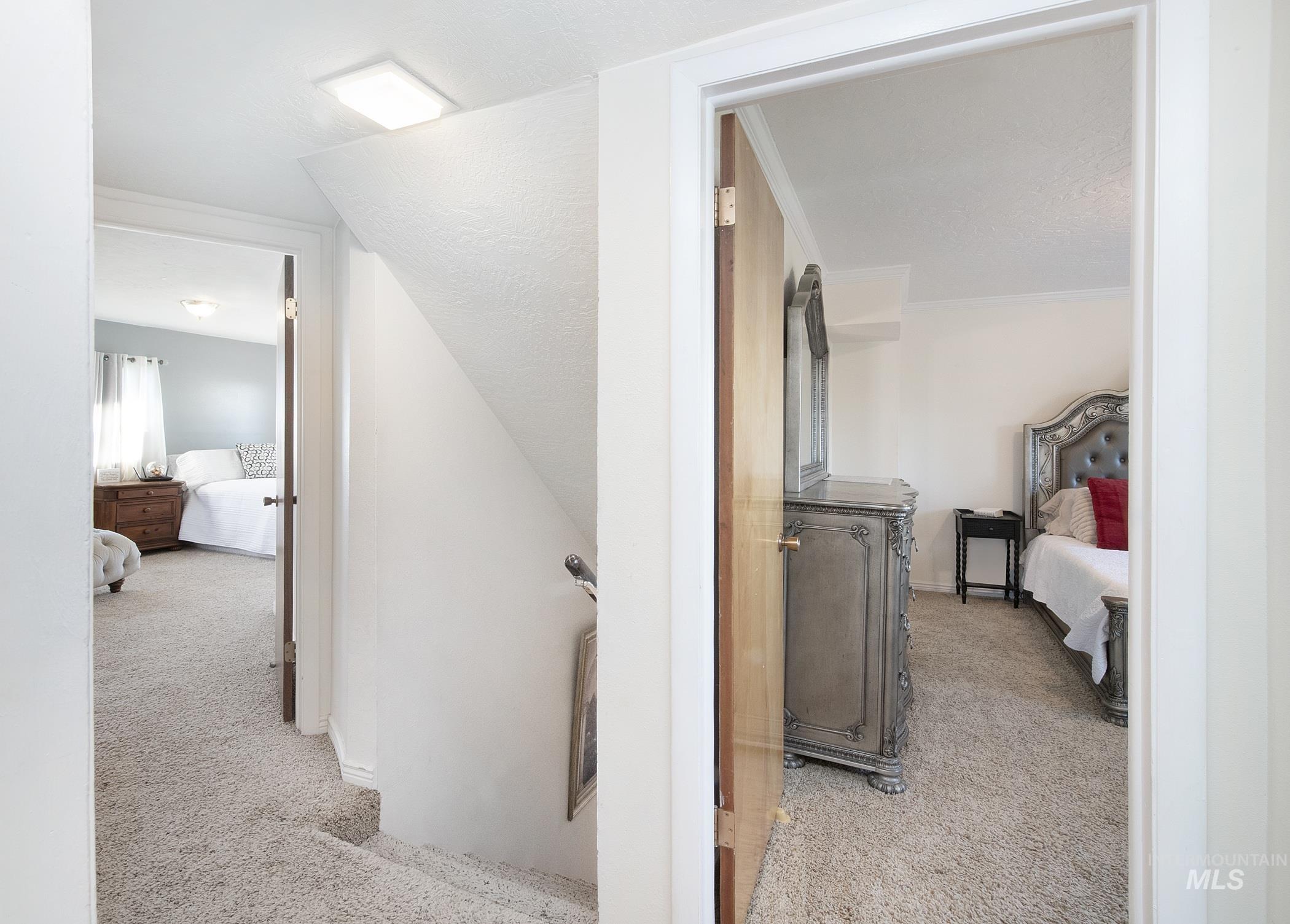 Hallway featuring carpet floors and ornamental molding