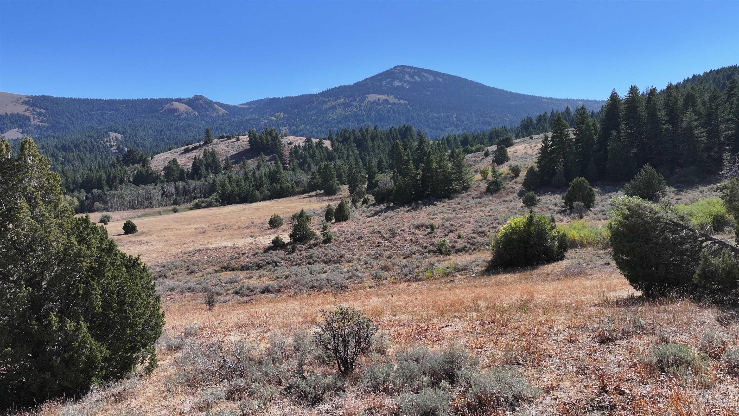 1200 S Lands Creek Road, Albion, Idaho 83311, Land For Sale, Price $16,400,000, 98955576