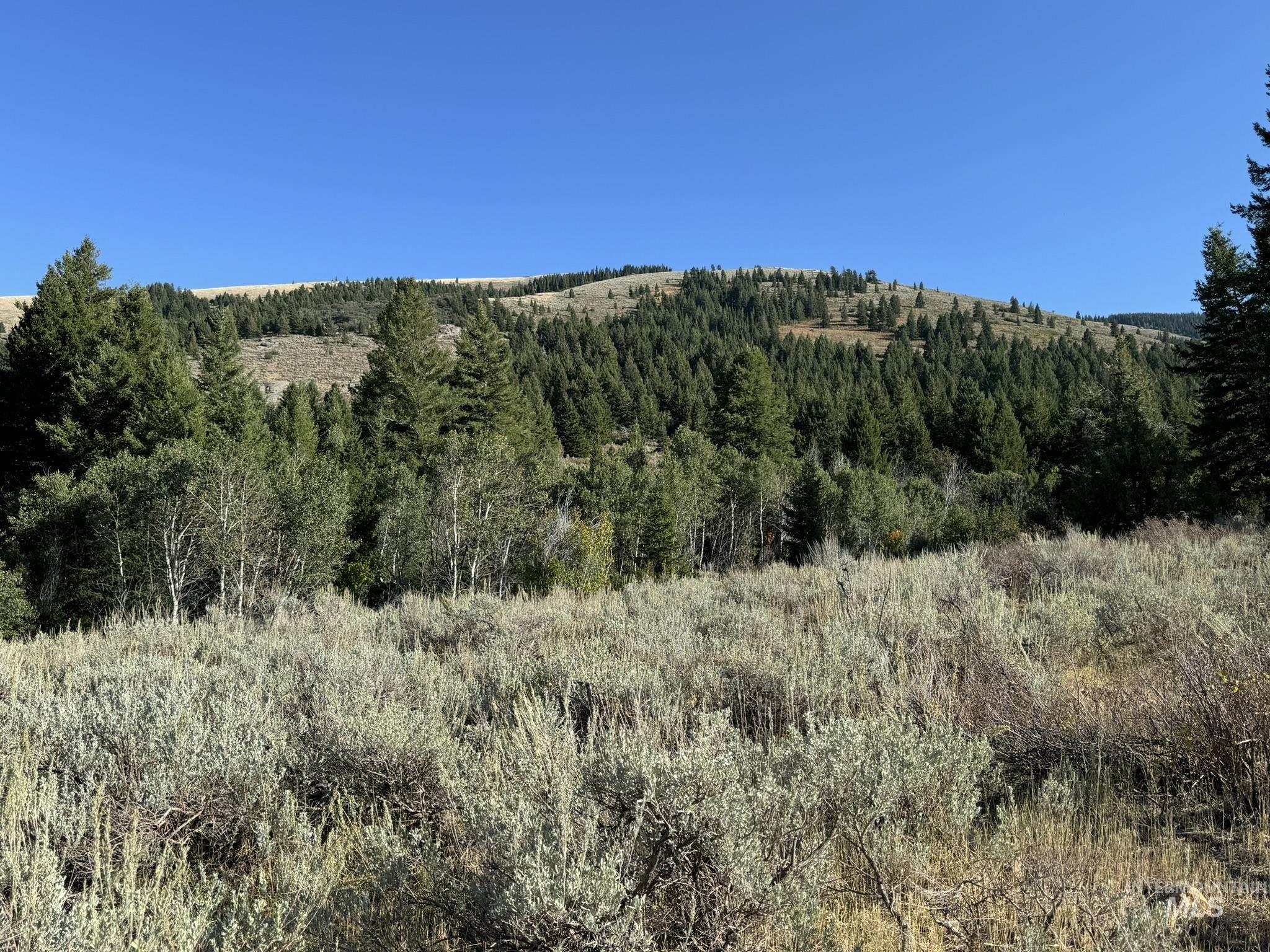 1200 S Lands Creek Road, Albion, Idaho 83311, Land For Sale, Price $16,400,000, 98955576