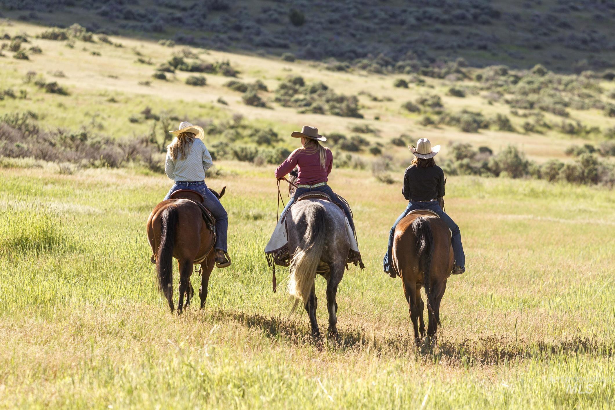 1200 S Lands Creek Road, Albion, Idaho 83311, Land For Sale, Price $16,400,000, 98955576